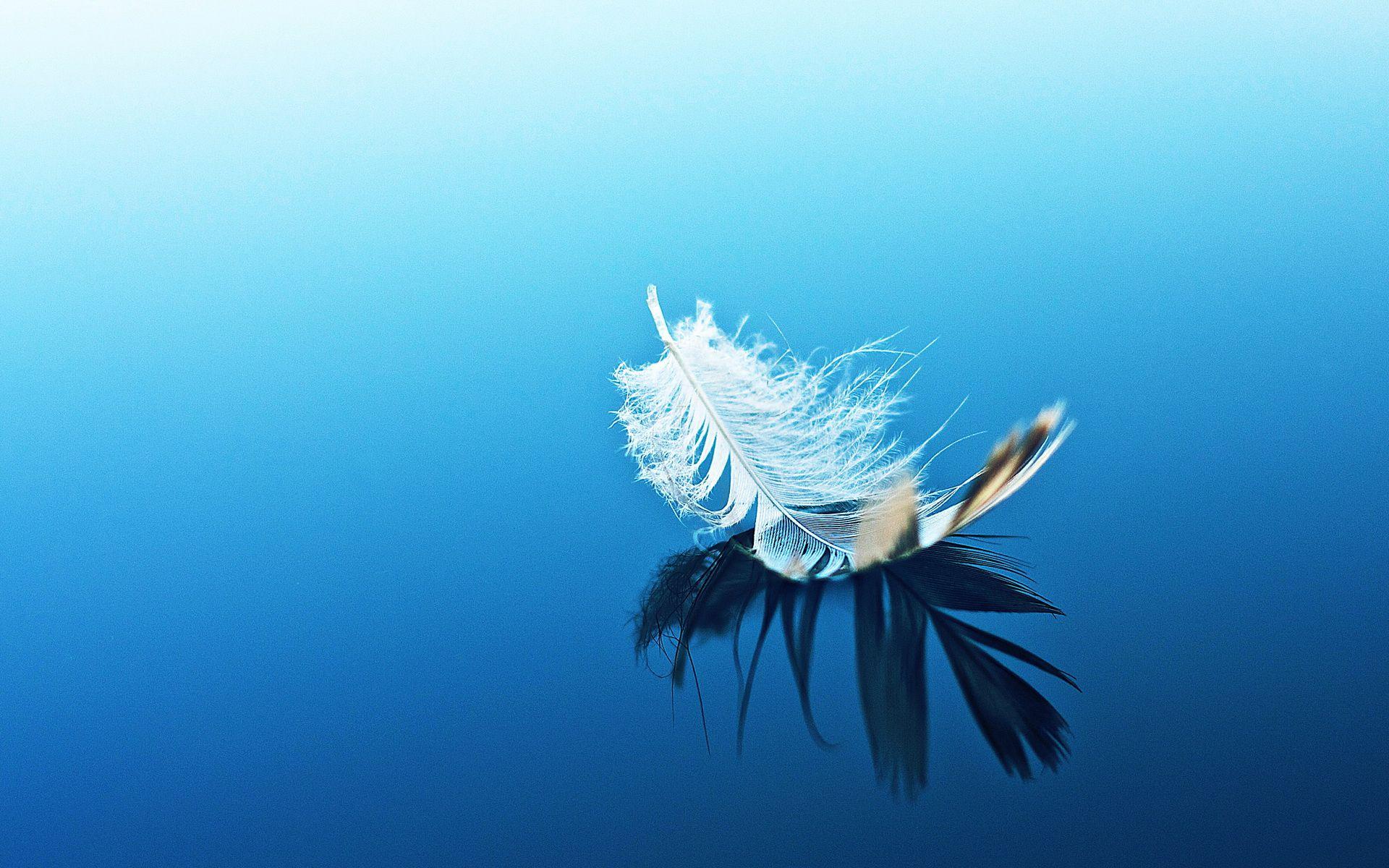1920x1200 mood, Bokeh, Feather, Water, Reflection, Zen Wallpaper HD