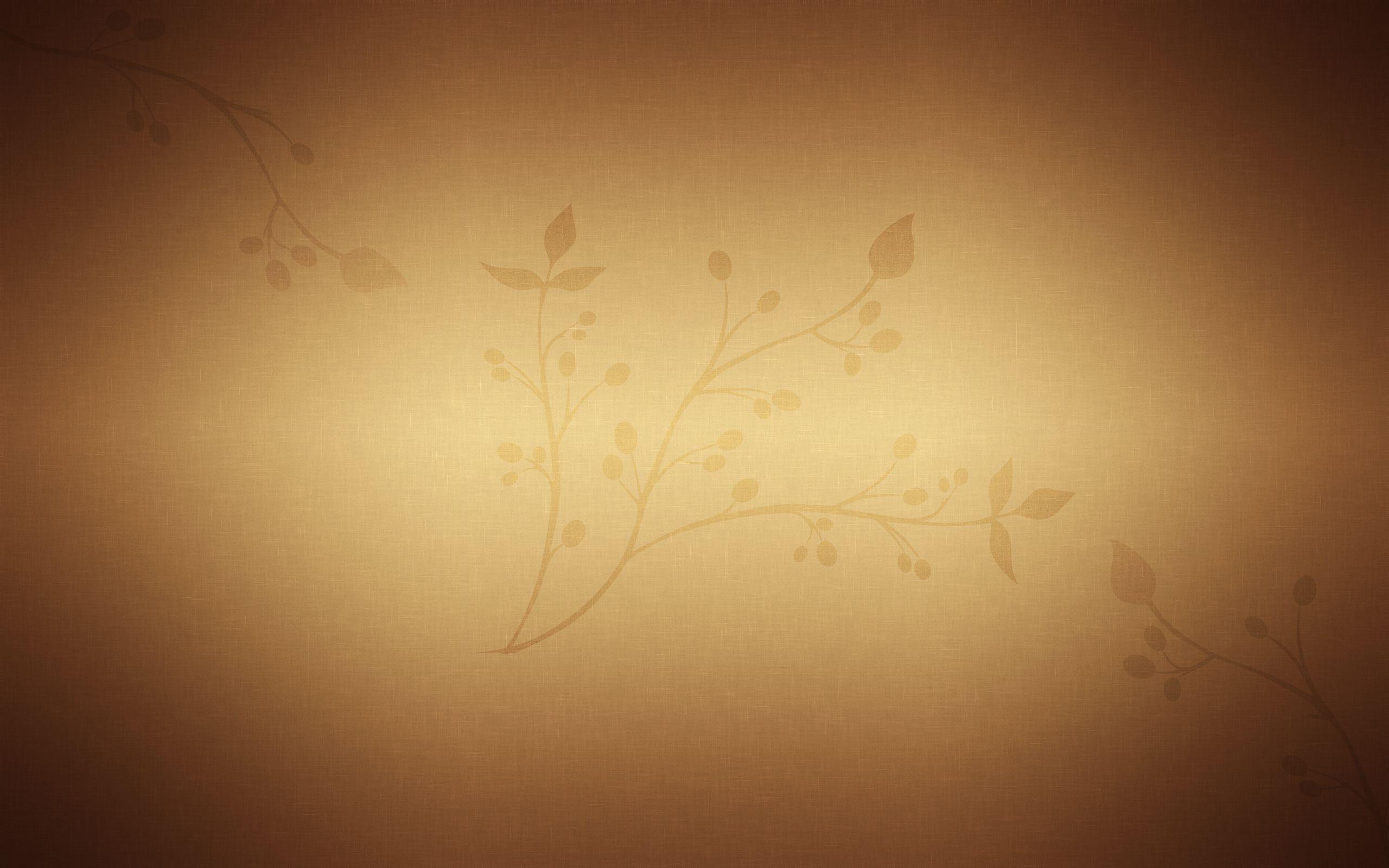 2560x1600 Zen awesome HD wallpaper