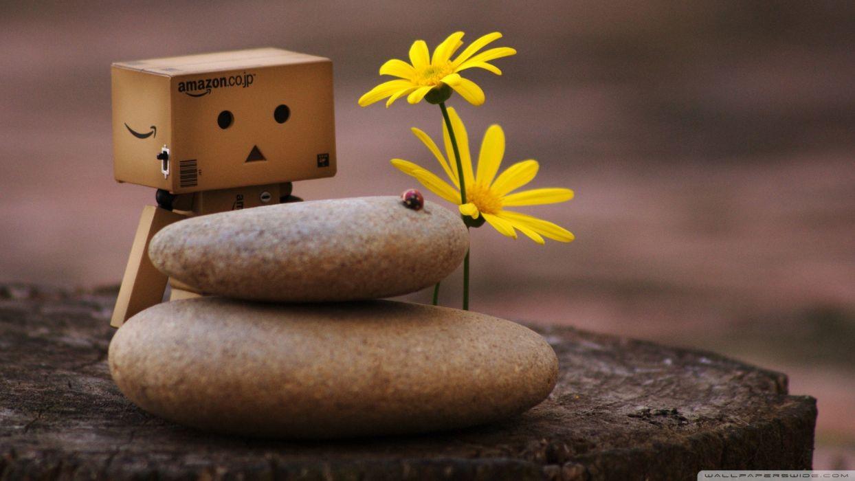 1244x700 Cartoons flowers zen Danboard pebbles wallpaperx1080