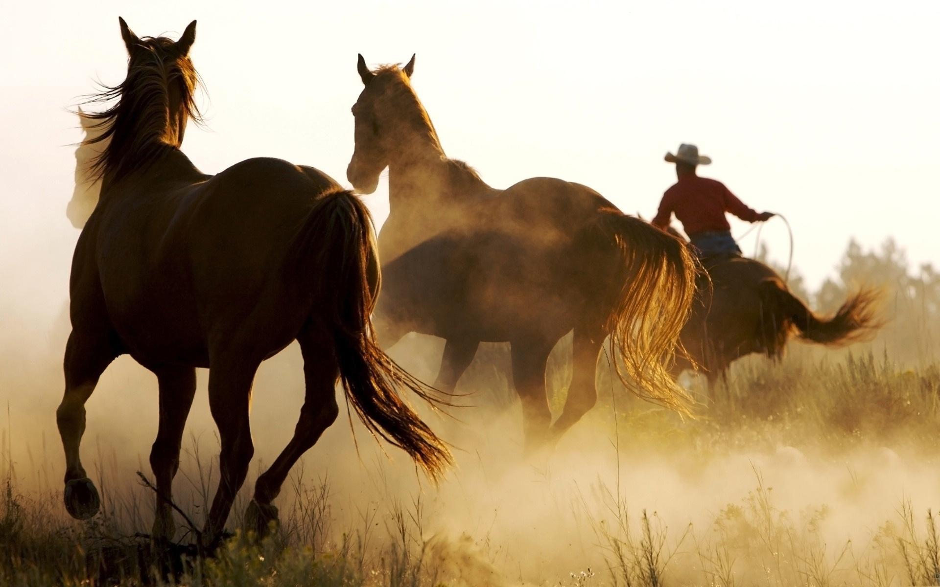 1920x1200 Free Download Country Background