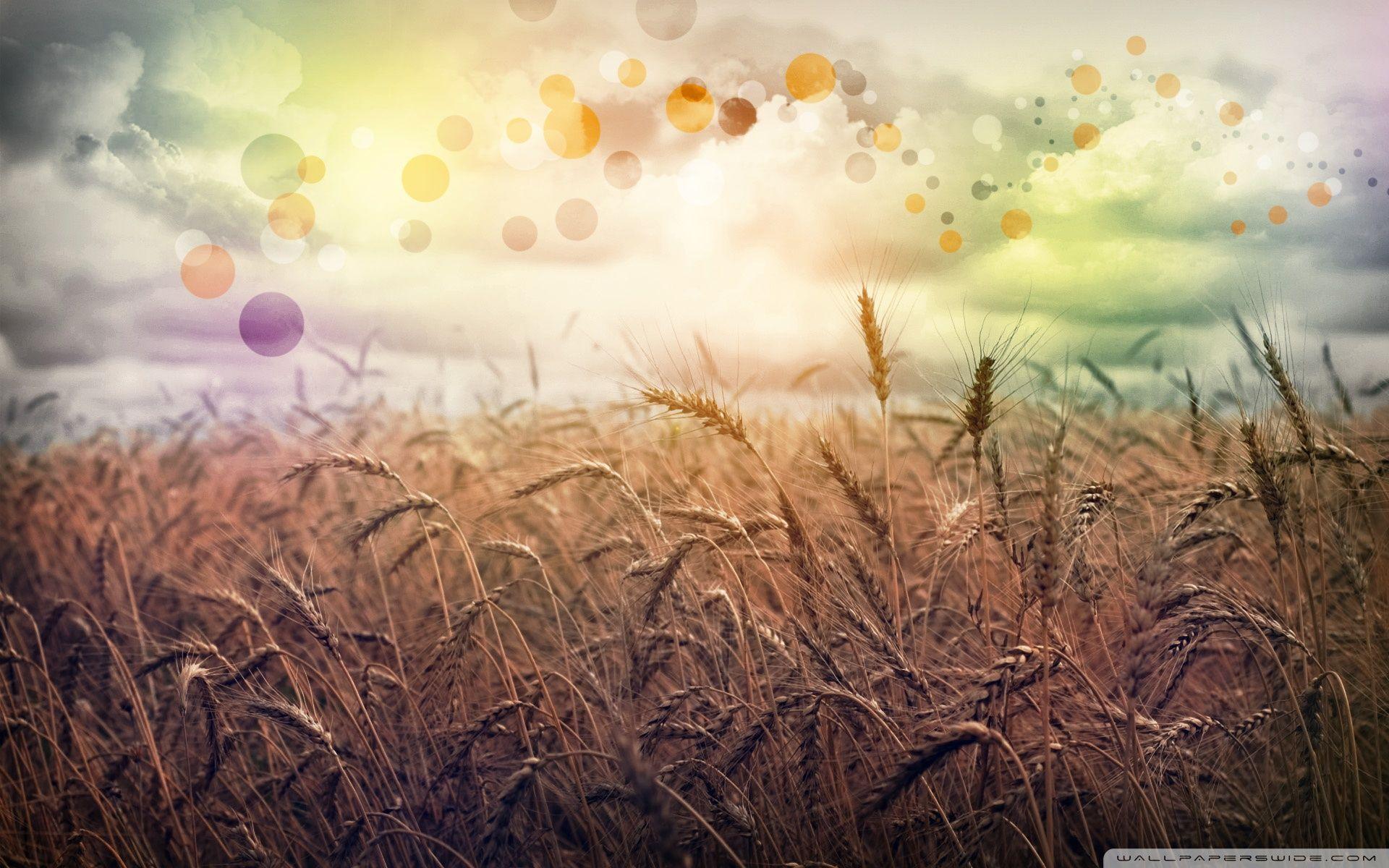 1920x1200 Latest Country Picture. YVG88 HD Quality Wallpaper