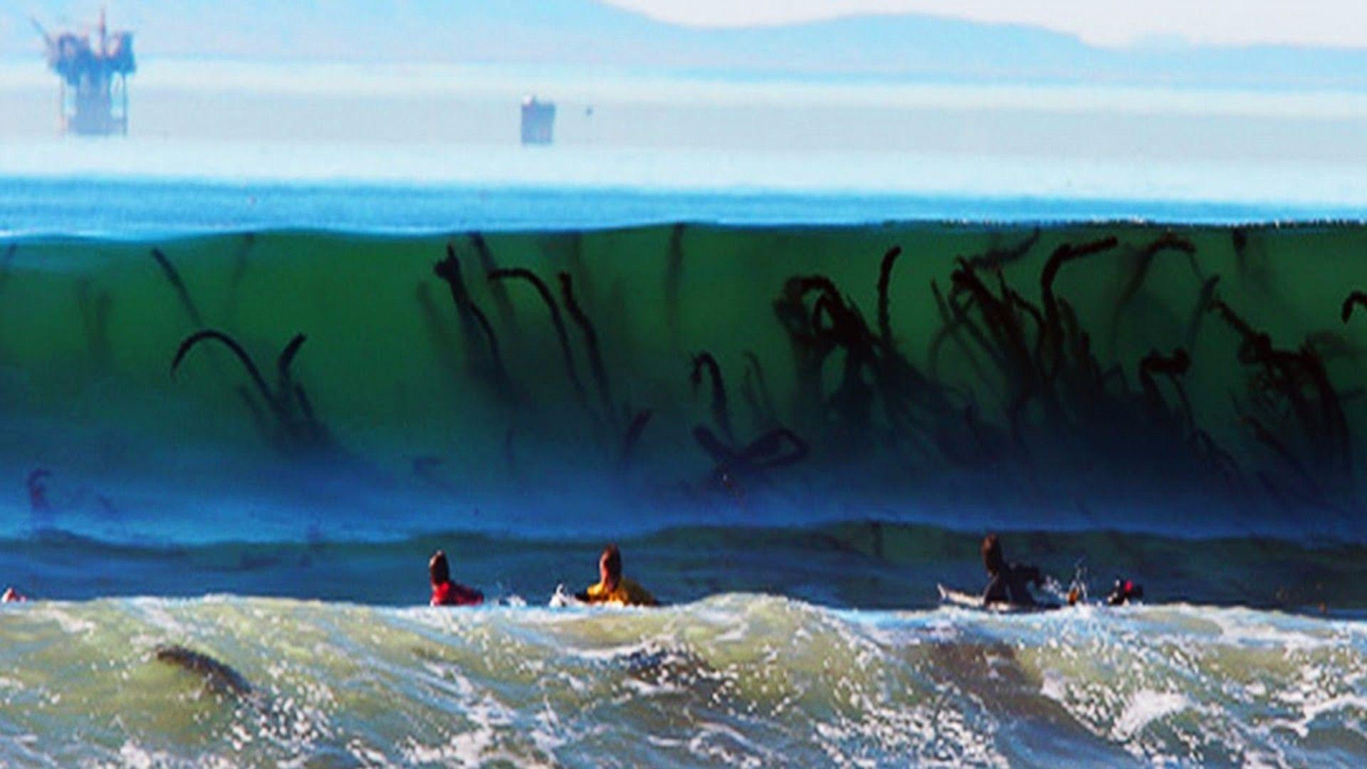 1920x1080 HD Surfing Wallpaper