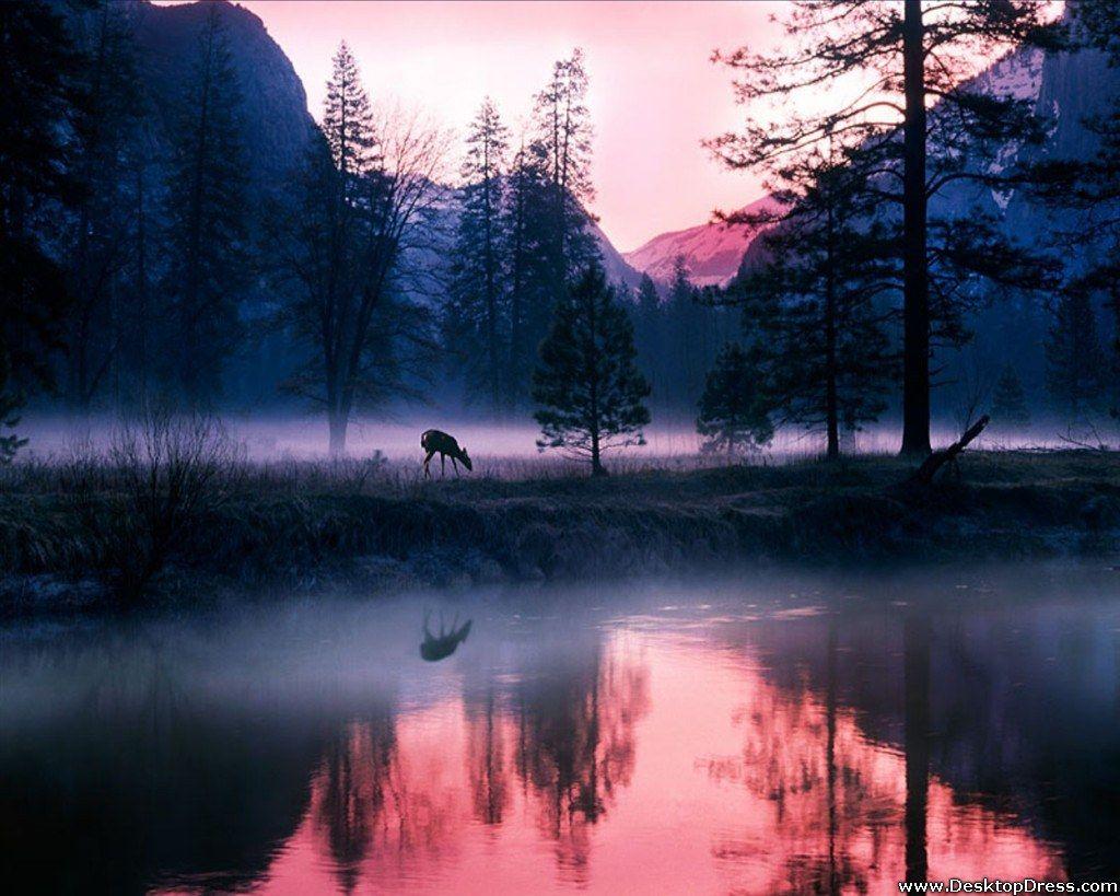 1024x819 Mystical Wallpaper 8 X 819