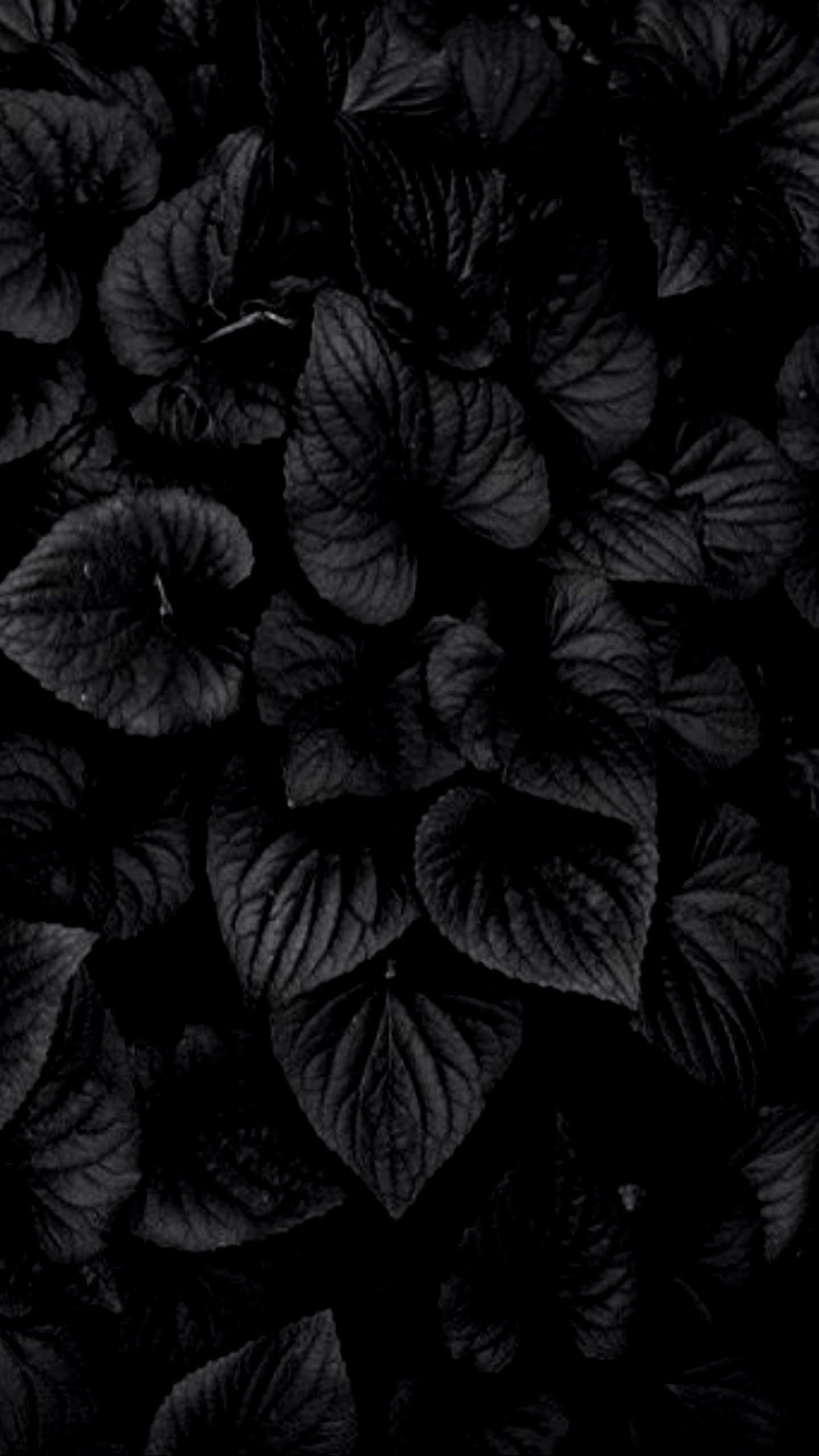 Dark HD Flowers Wallpapers - Top Free Dark HD Flowers Backgrounds