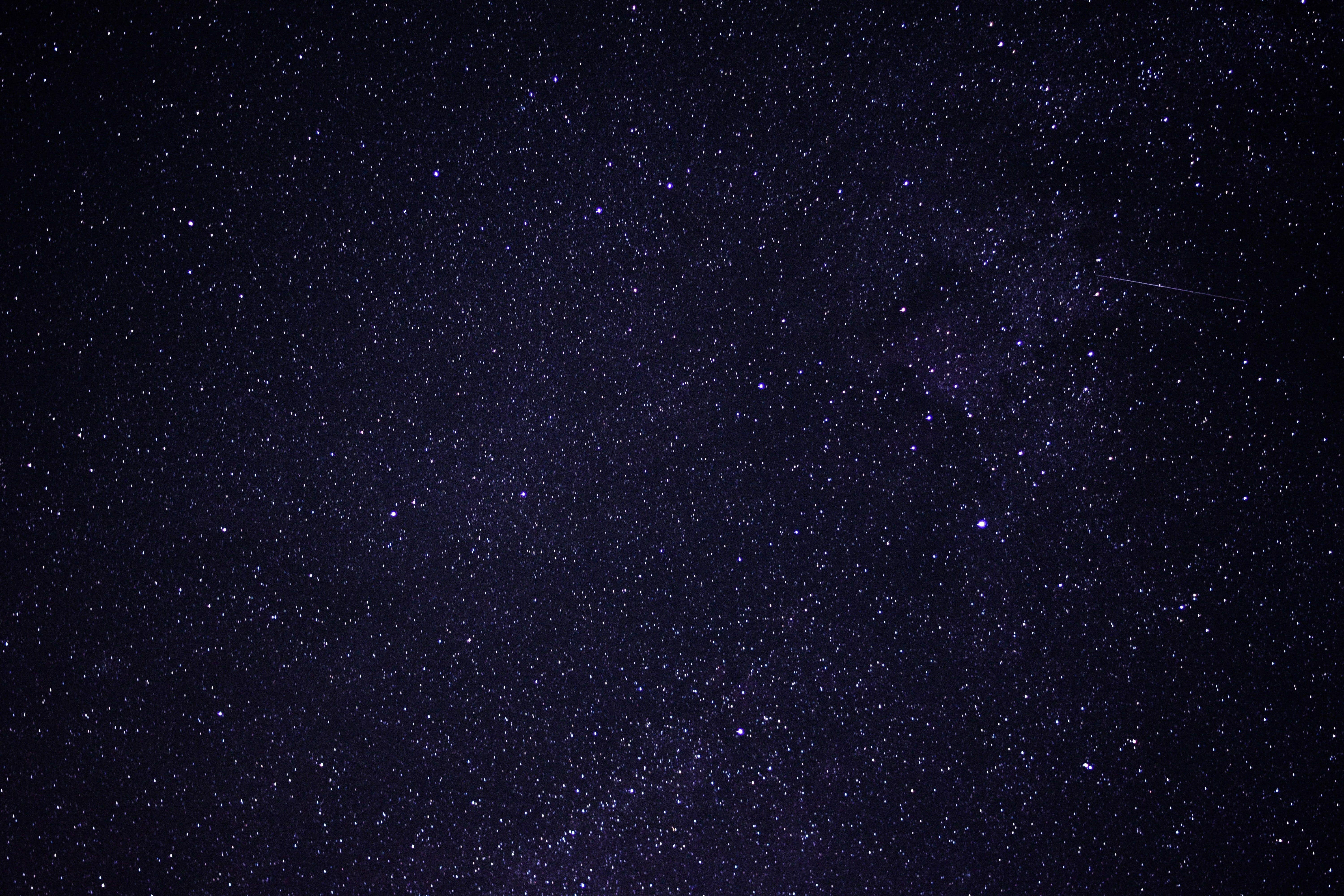 6000x4000 Starry night illustration, nature, flowers, night, long