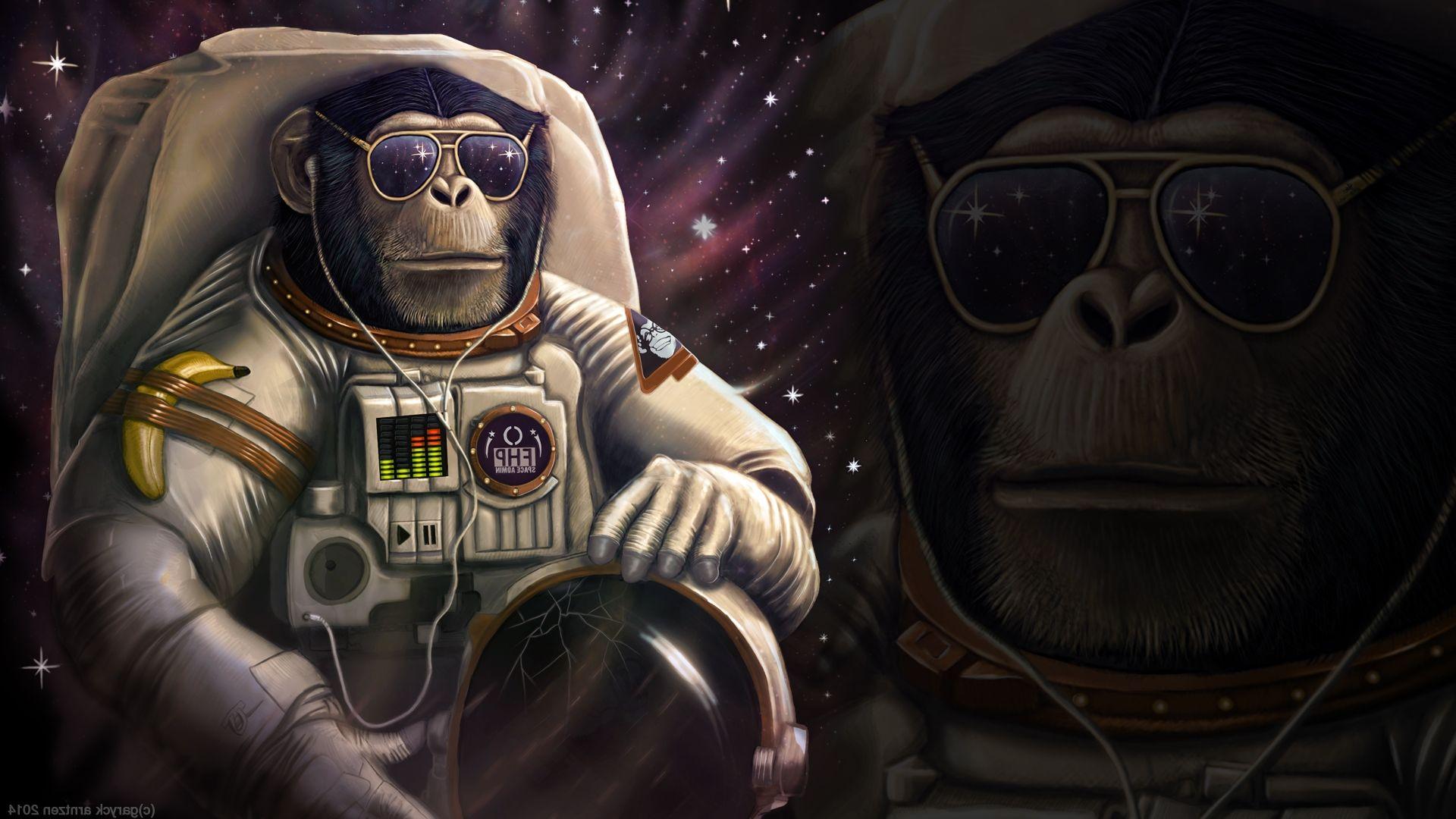 1920x1080 Monkey Astronaut Wallpaper HD Desktop And Mobile