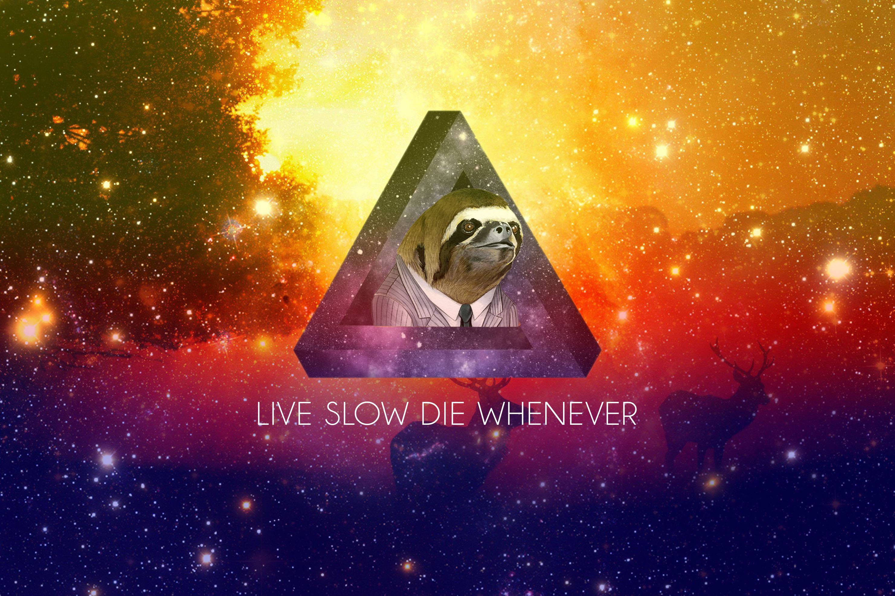 2963x1974 I collect funny wallpaper