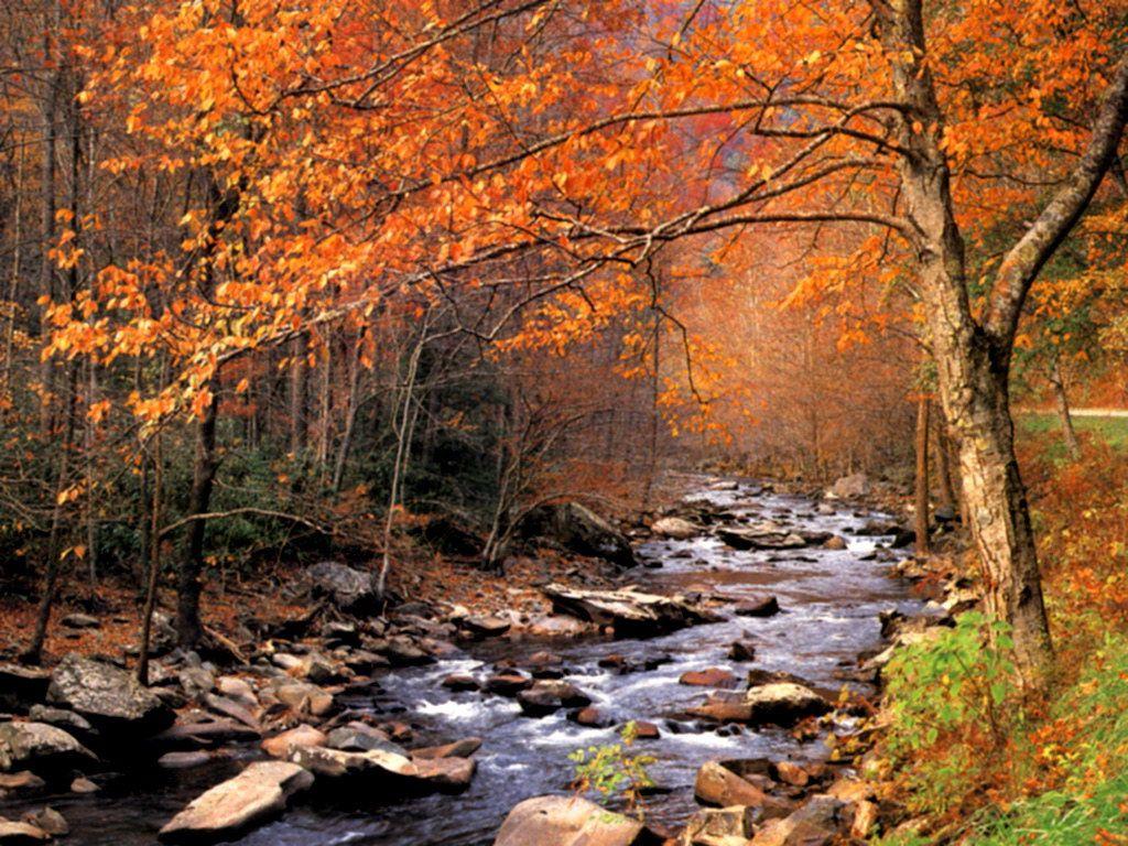 1024x768 Free Autumn Wallpaper for Desktop