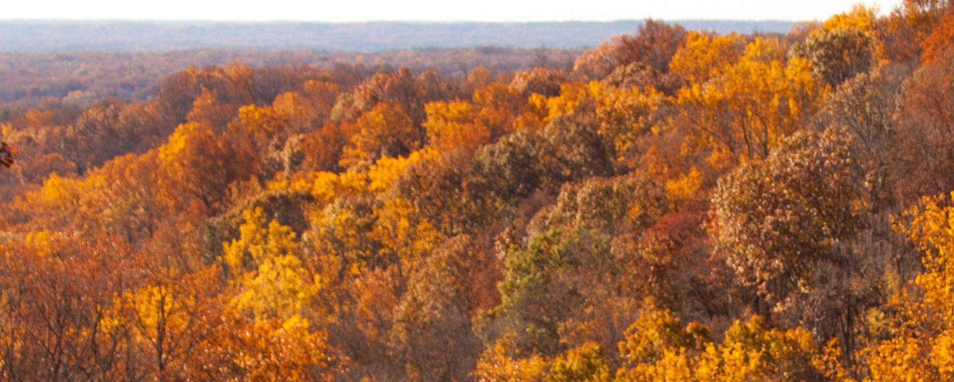 1918x768 Fall Desktop Wallpaper