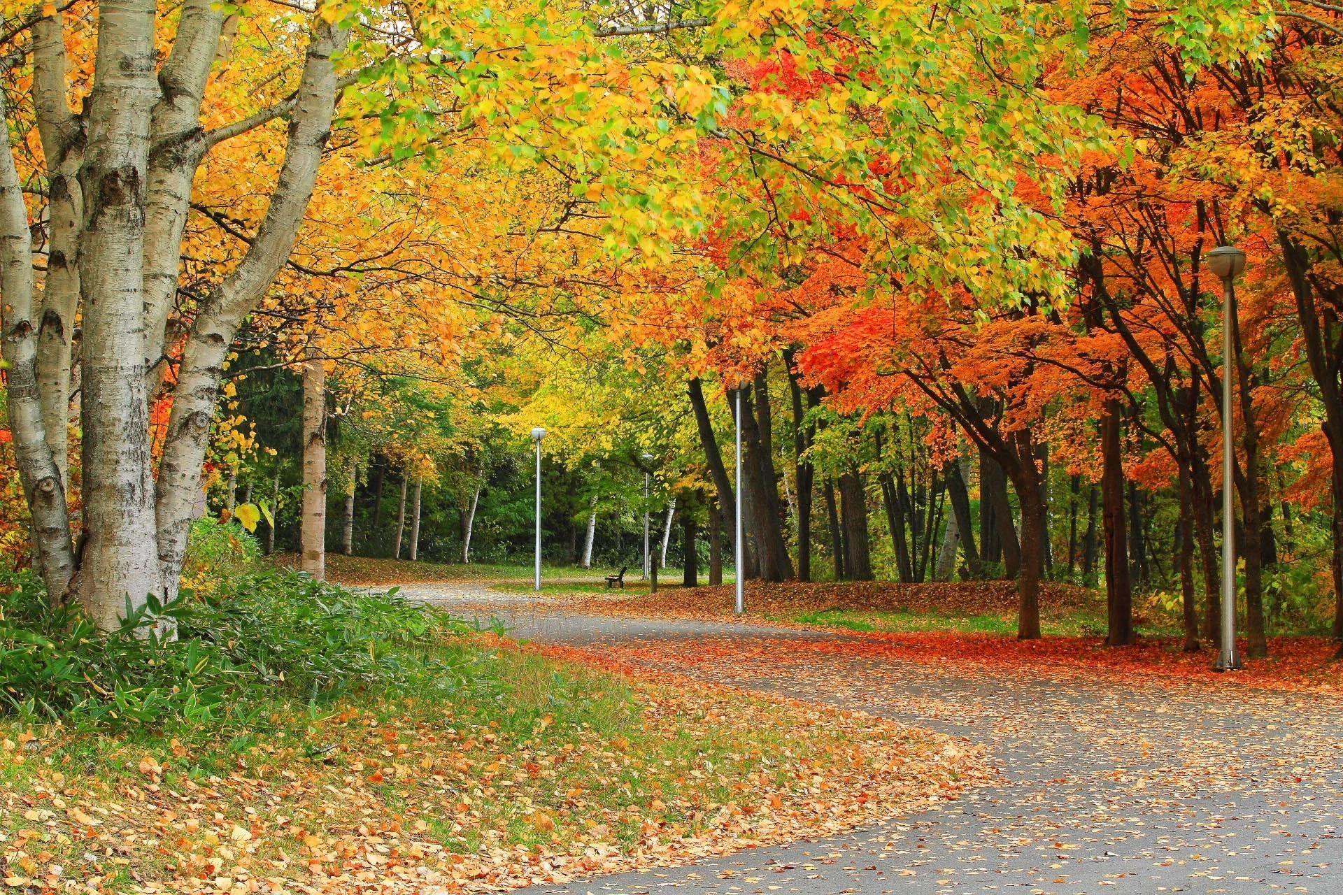 1920x1280 1920x1280 autumn computer wallpaper background