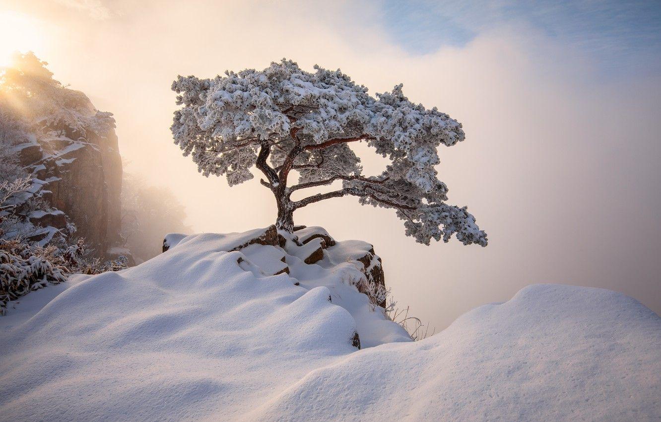 1332x850 Wallpaper winter, rays, light, snow, landscape, mountains