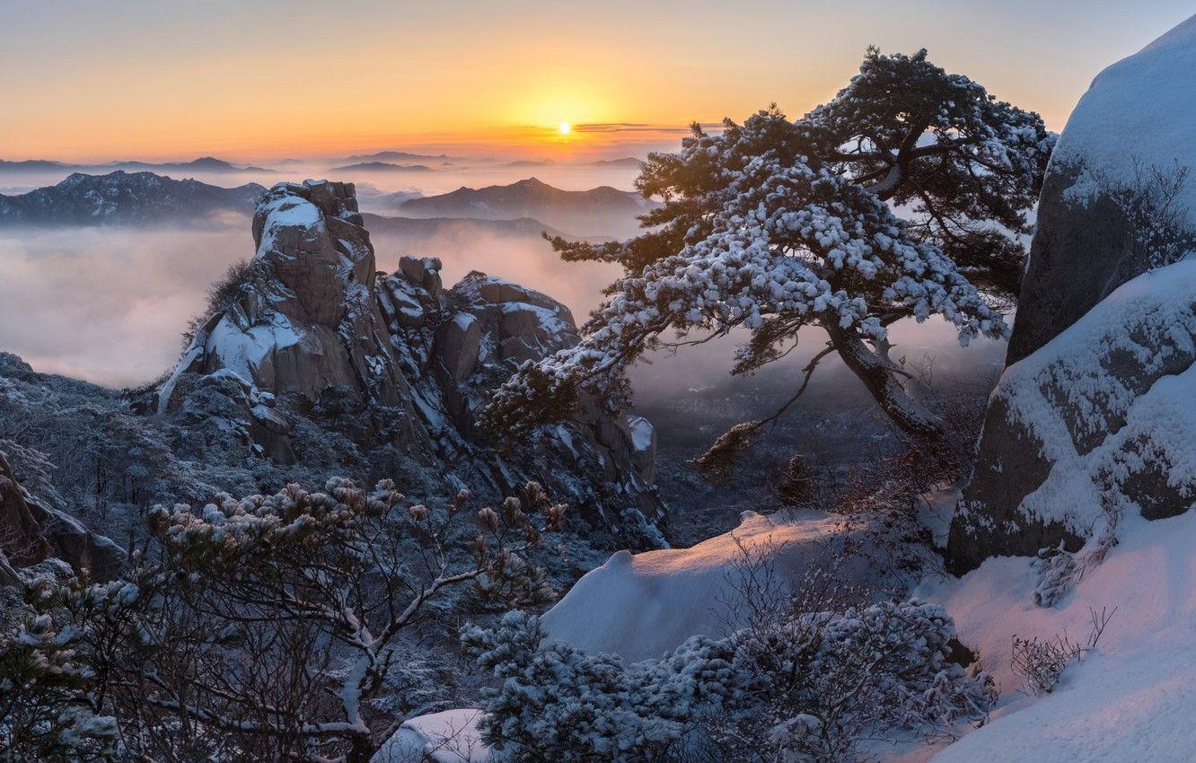 1332x850 Wallpaper winter, clouds, snow, trees, landscape, mountains, nature, fog, sunrise, rocks, dawn, morning, pine, Korea, reserve, jae youn Ryu image for desktop, section пейзажи