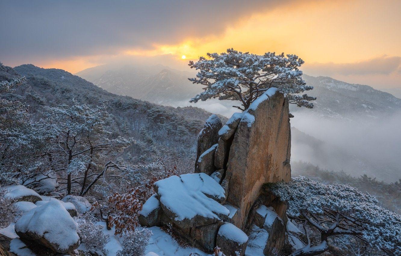 1332x850 Wallpaper winter, clouds, snow, landscape, mountains, nature, fog, tree, rocks, dawn, morning, forest, pine, South Korea, reserve, Pukhansan image for desktop, section пейзажи