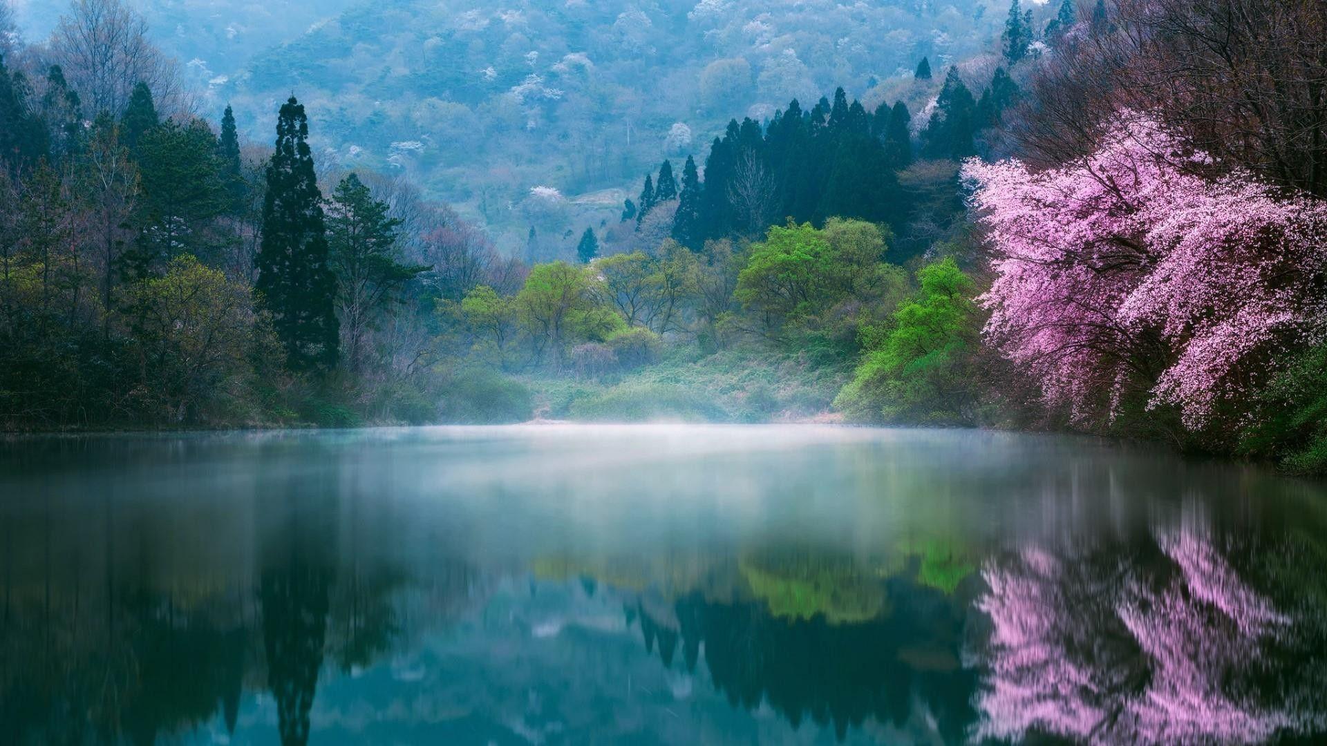 1920x1080 South Korea Wallpaper