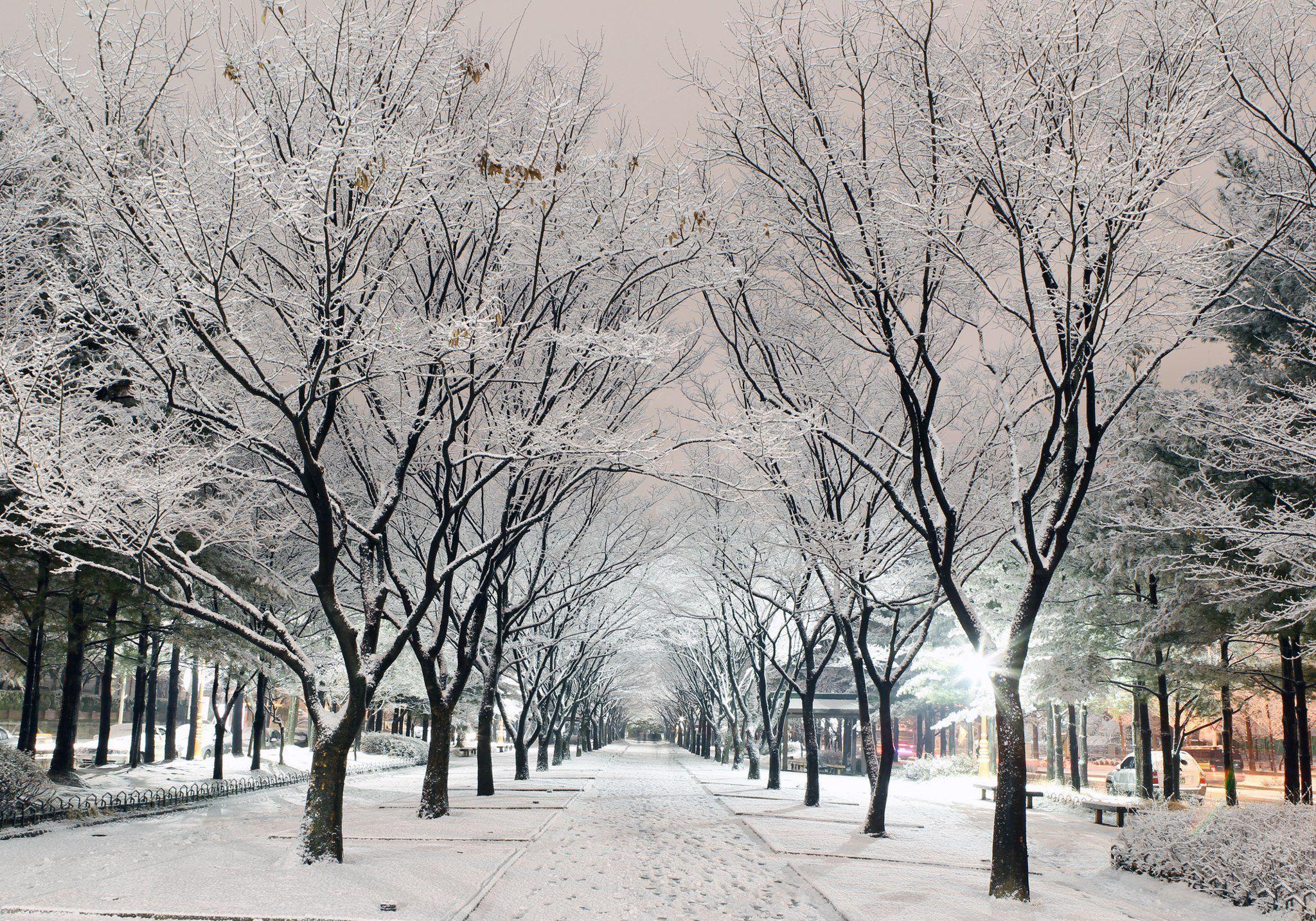 2048x1433 Winter at Seoul. Korea winter, Snow, Places to travel