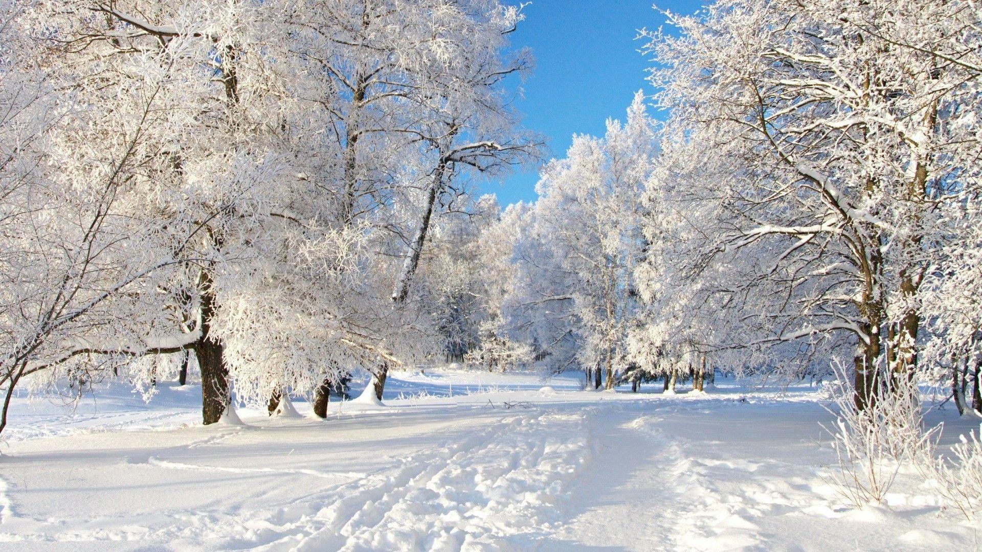 1920x1080 Snowy Landscape Wallpaper