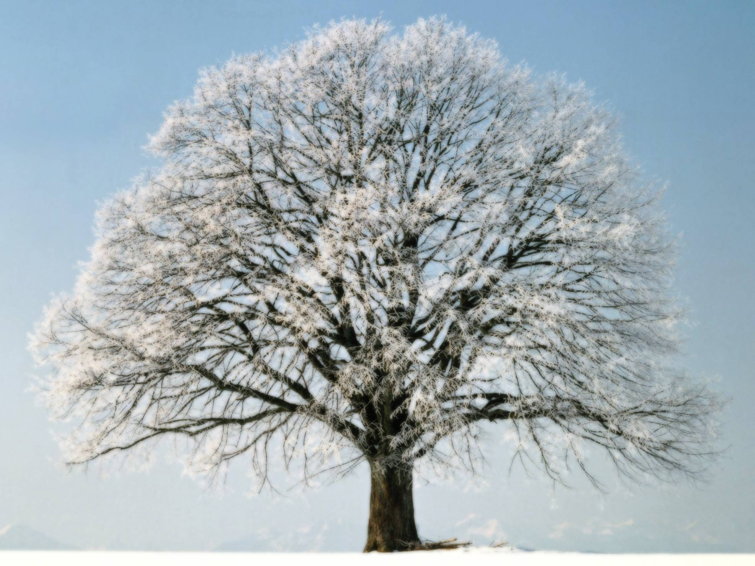 2560x1920 Free Desktop Wallpaper Winter Scenes