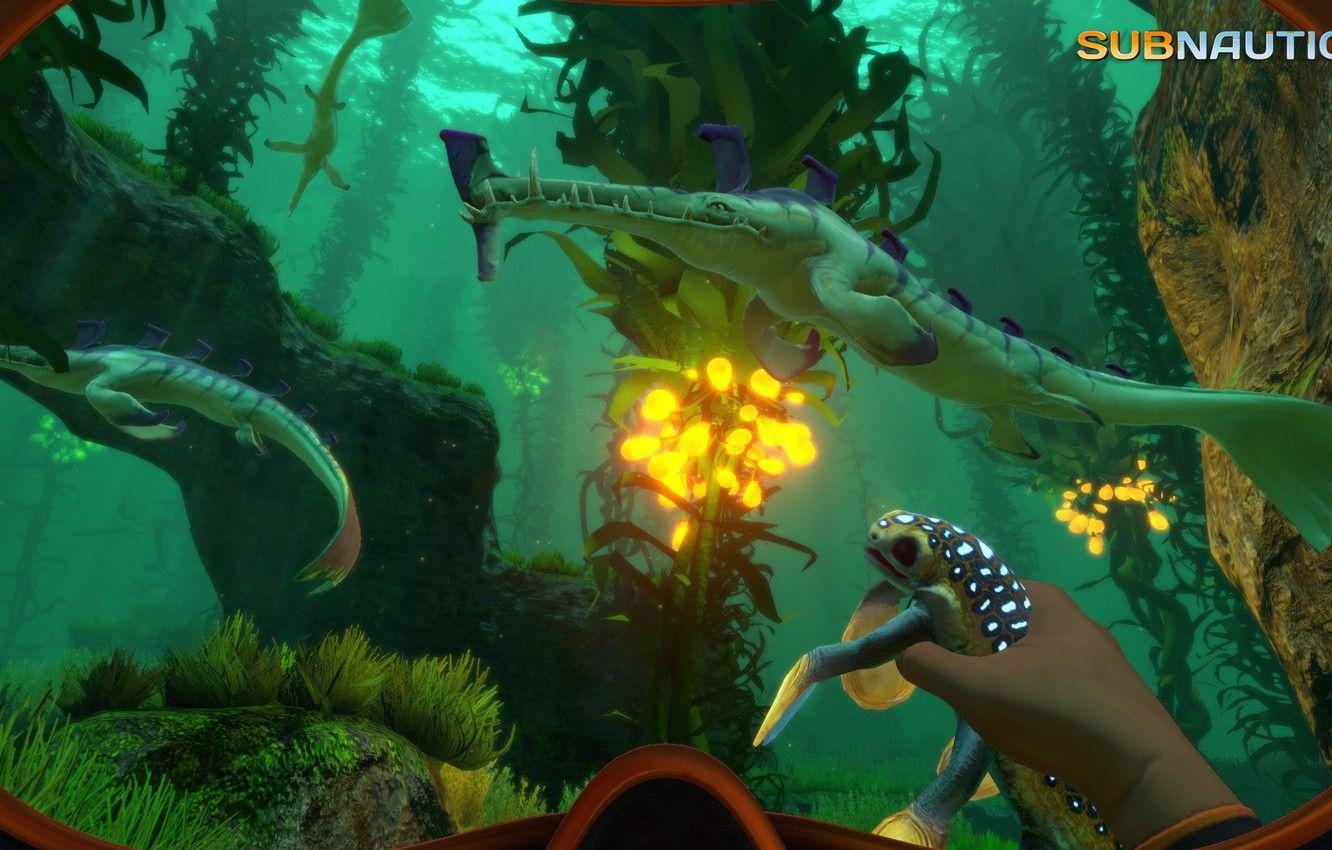 1332x850 Wallpaper animals, plants, the bottom, Subnautica image