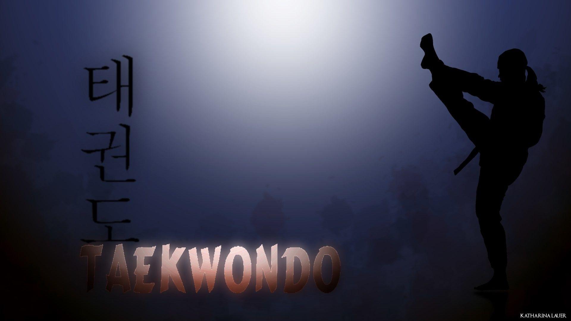 1920x1080 Taekwondo Wallpaper 1920x1080 Computer WTG2006430