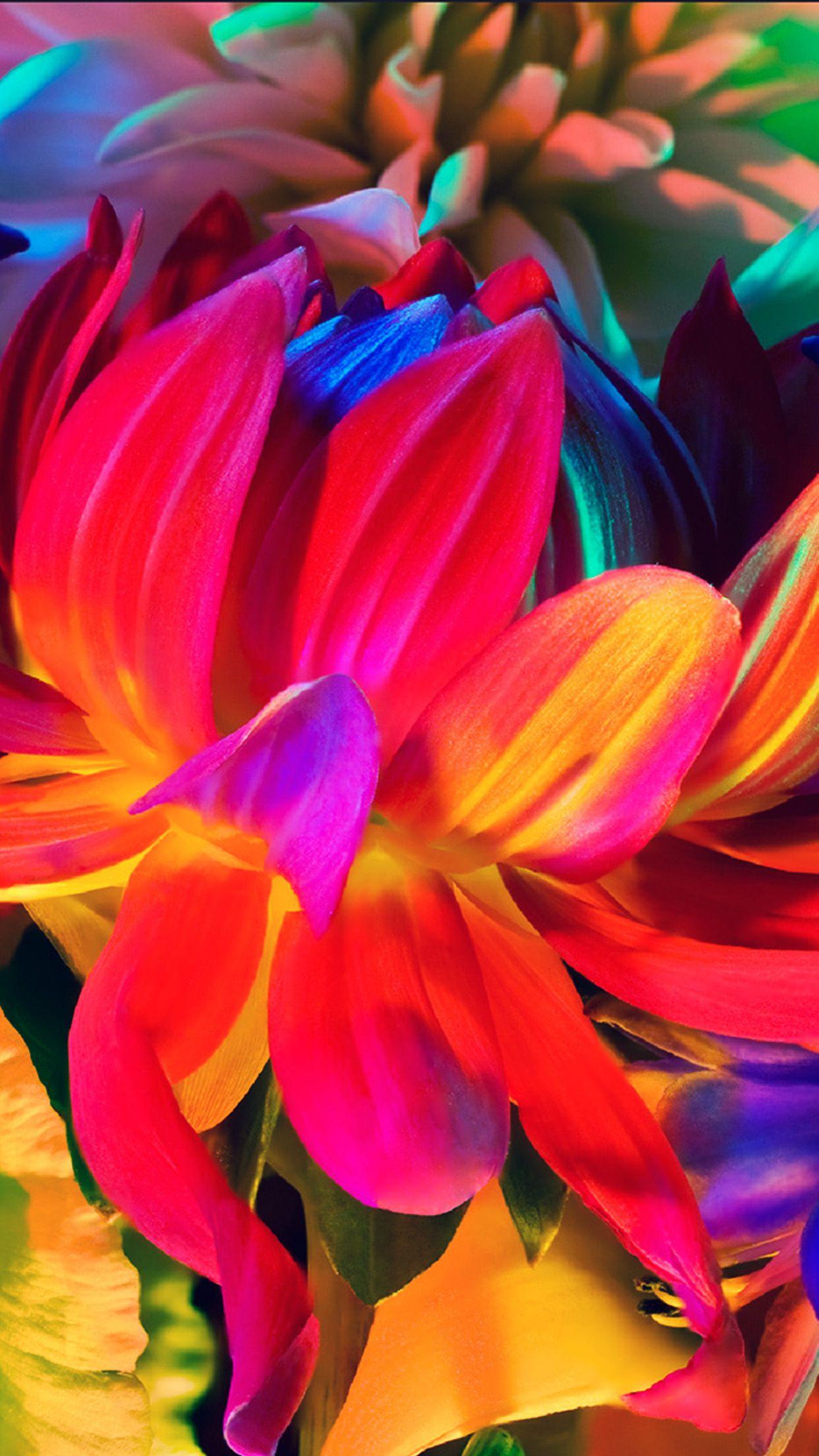 1242x2208 Apple MacBook Flower Rainbow Color Illustration Art Nature Android wallpaper HD wallpaper