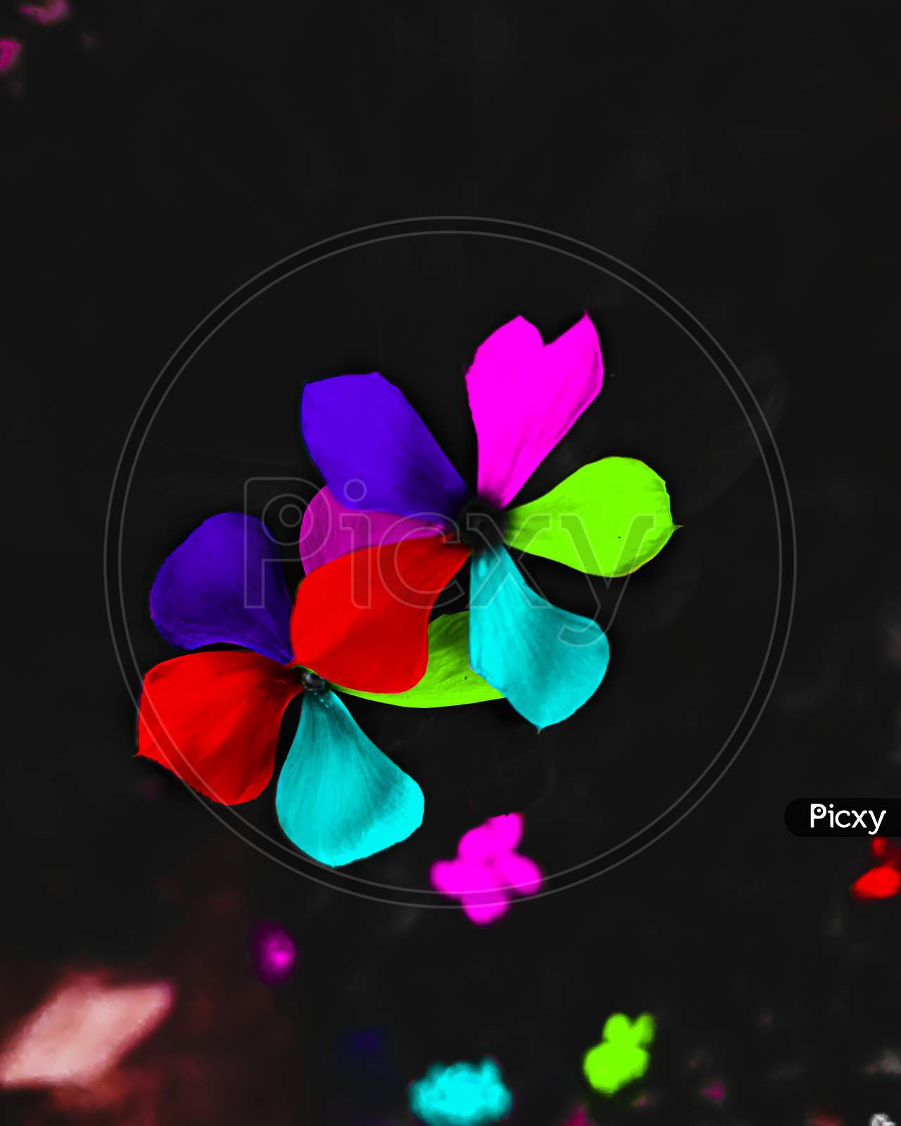 1280x1600 One Flower JO735104 Picxy