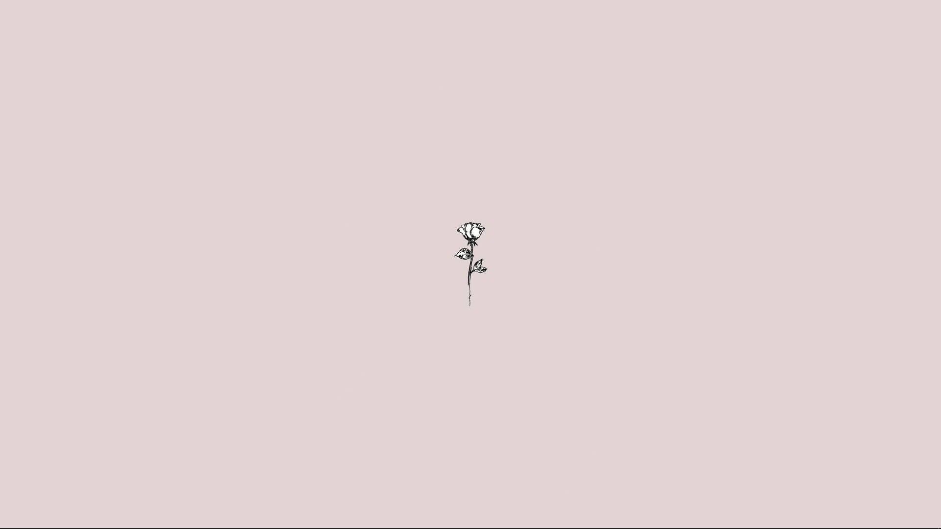 1920x1080 Rose In Nude Pink Basic Wallpaper