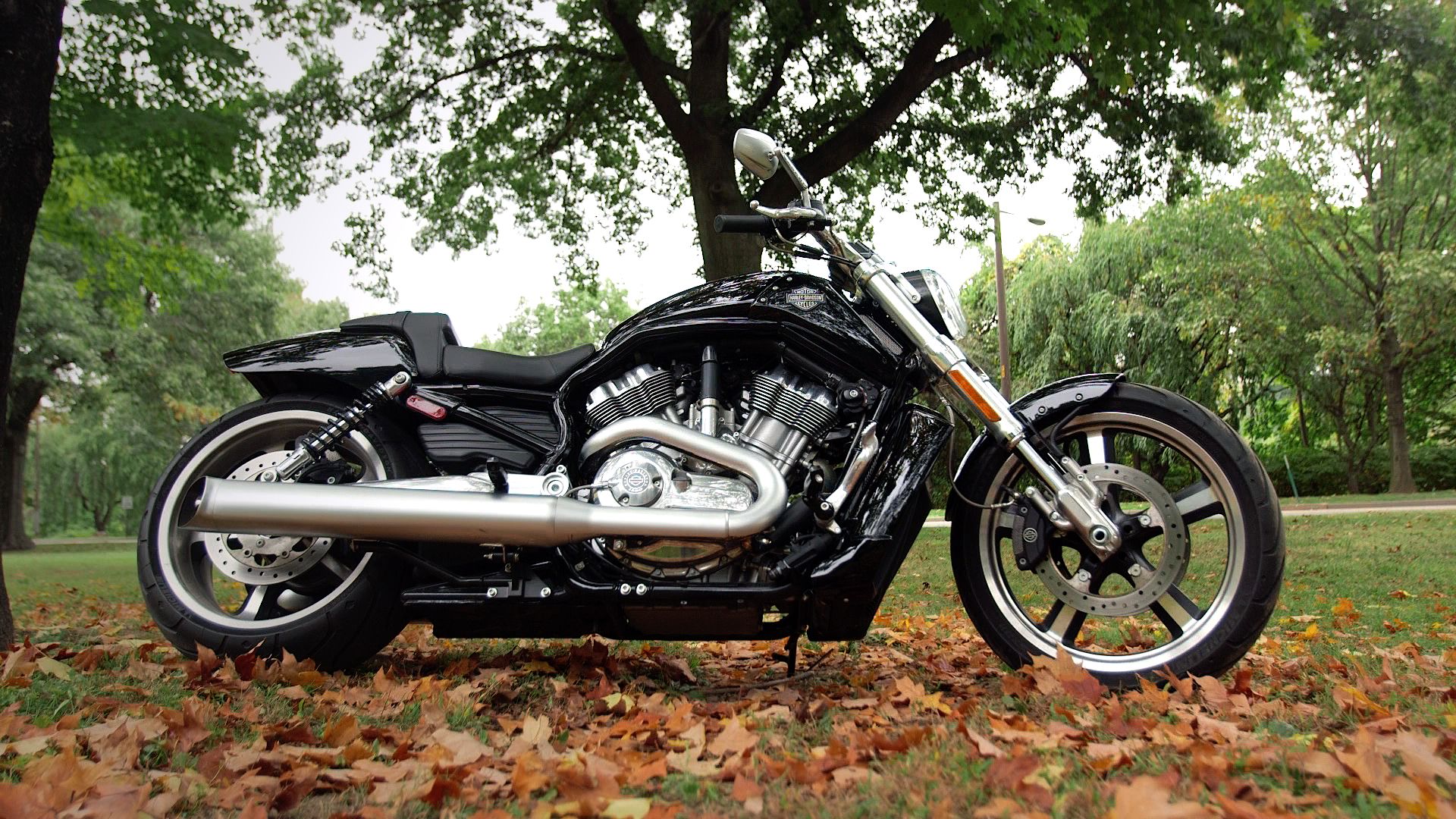 1920x1080 Harley Davidson V Rod Muscle Review