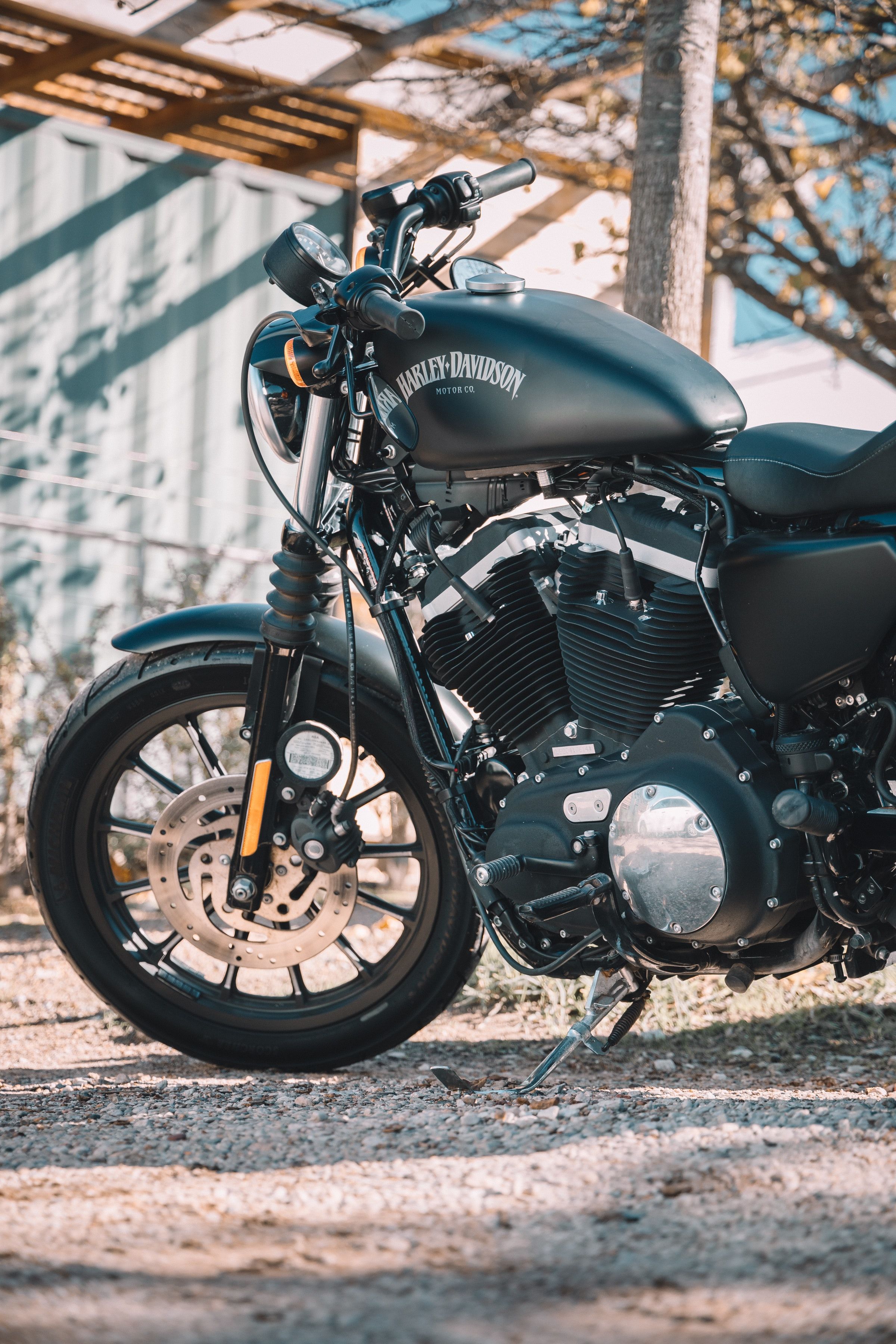 2400x3600 Download Harley Davidson V Rod Muscle