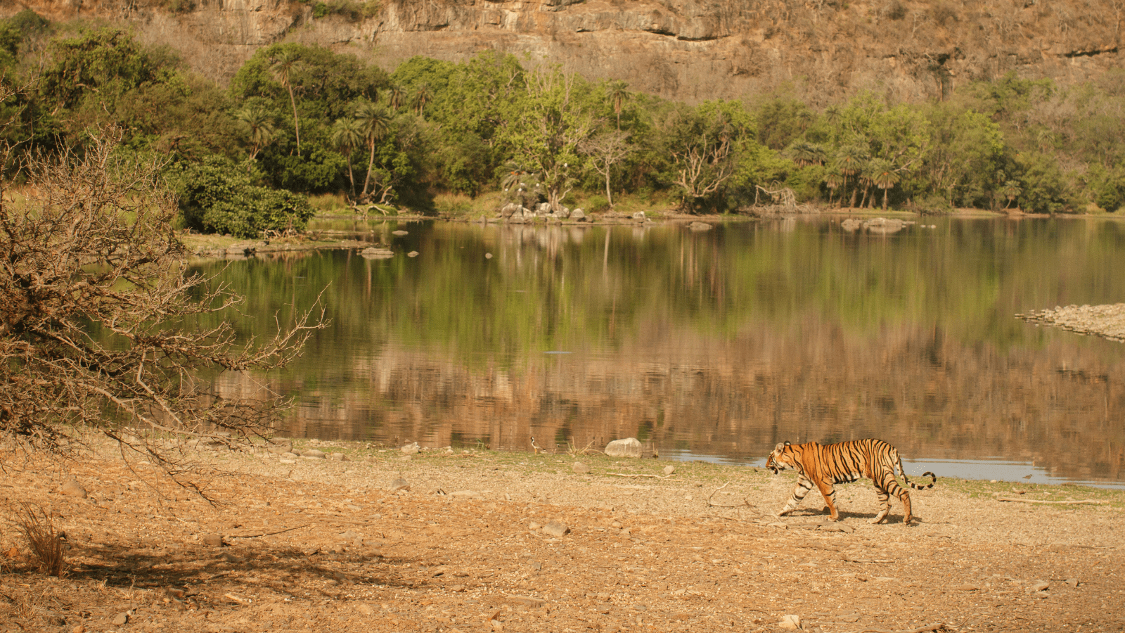 1600x900 Treks and Trails India