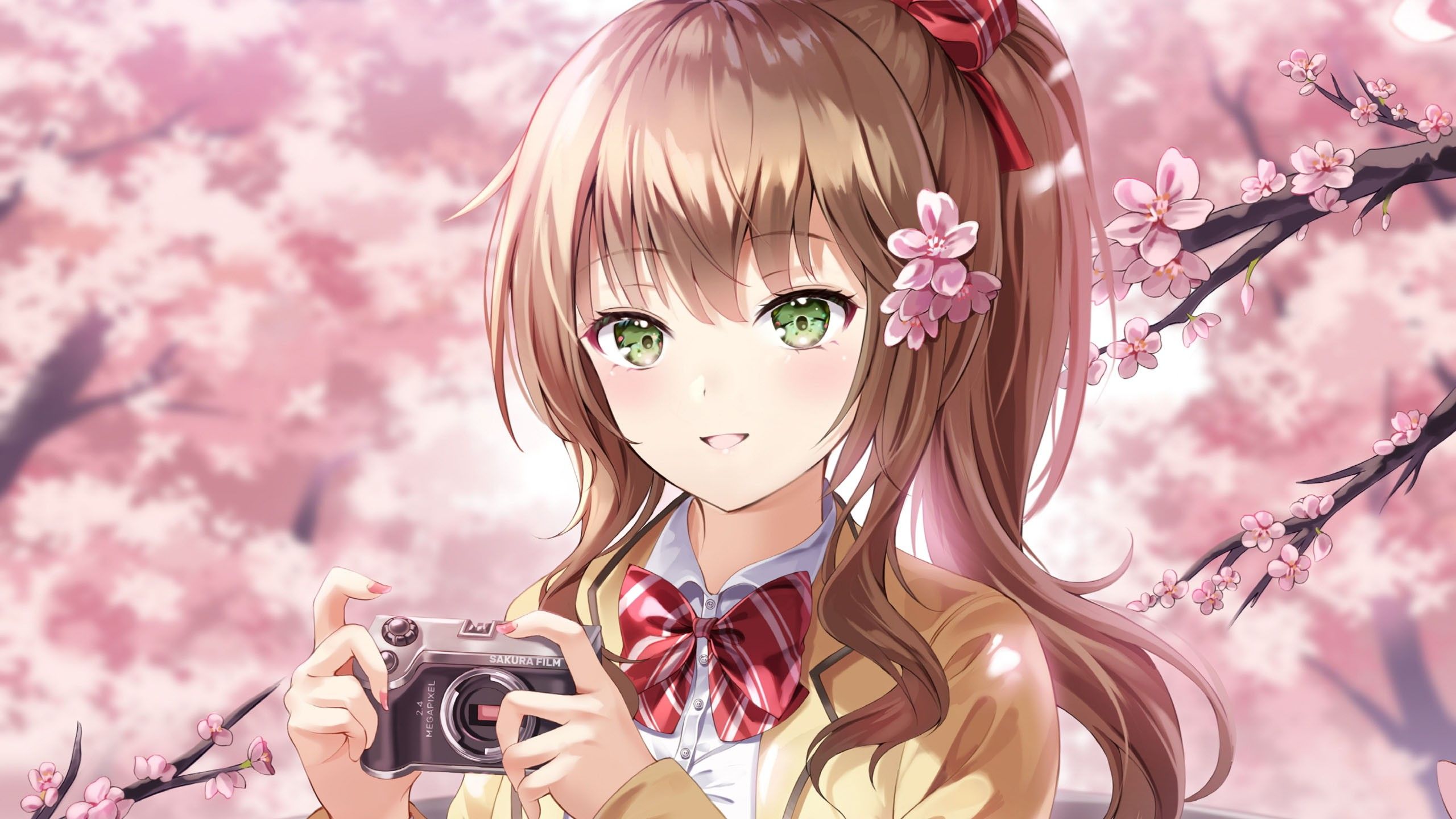 2560x1440 Green Eyes Brown Hair Anime Girl With Camera Sakura Blossom Tree HD Anime Girl Wallpaper