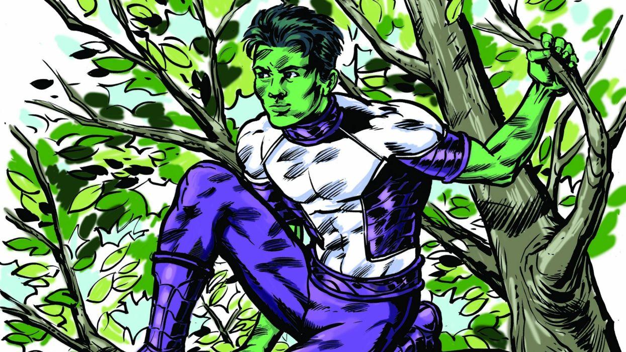 1245x700 DC COMICS Superhero Hero Warrior D C Comics Beast Boy F