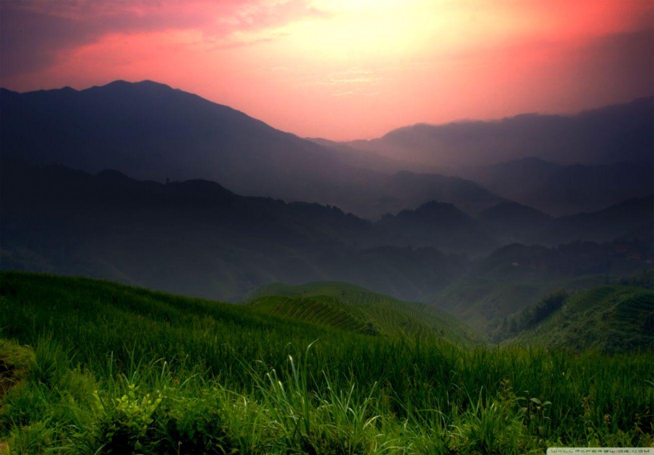 1310x912 Grasslands Wallpaper