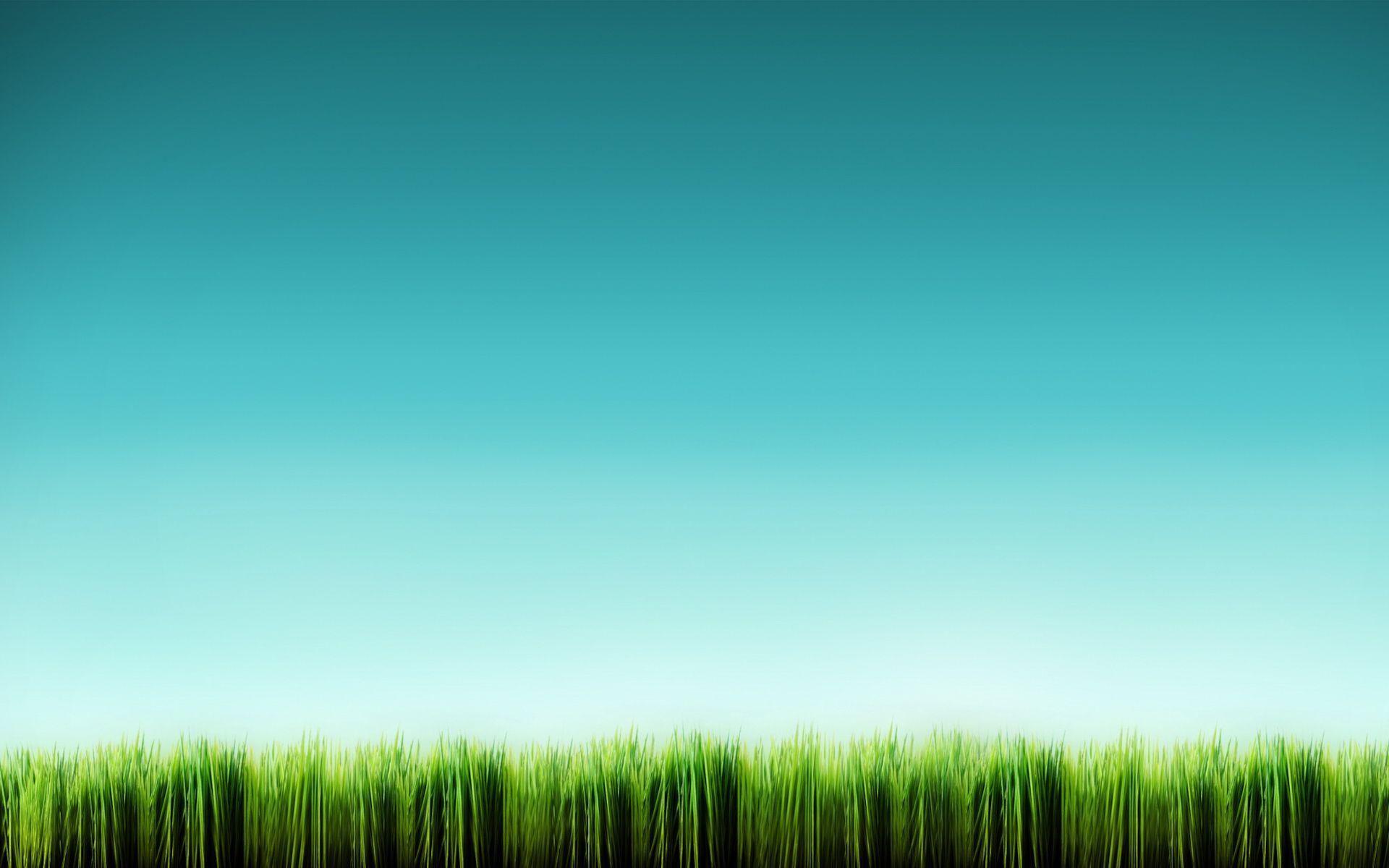 Grassland Wallpapers - Top Free Grassland Backgrounds - WallpaperAccess