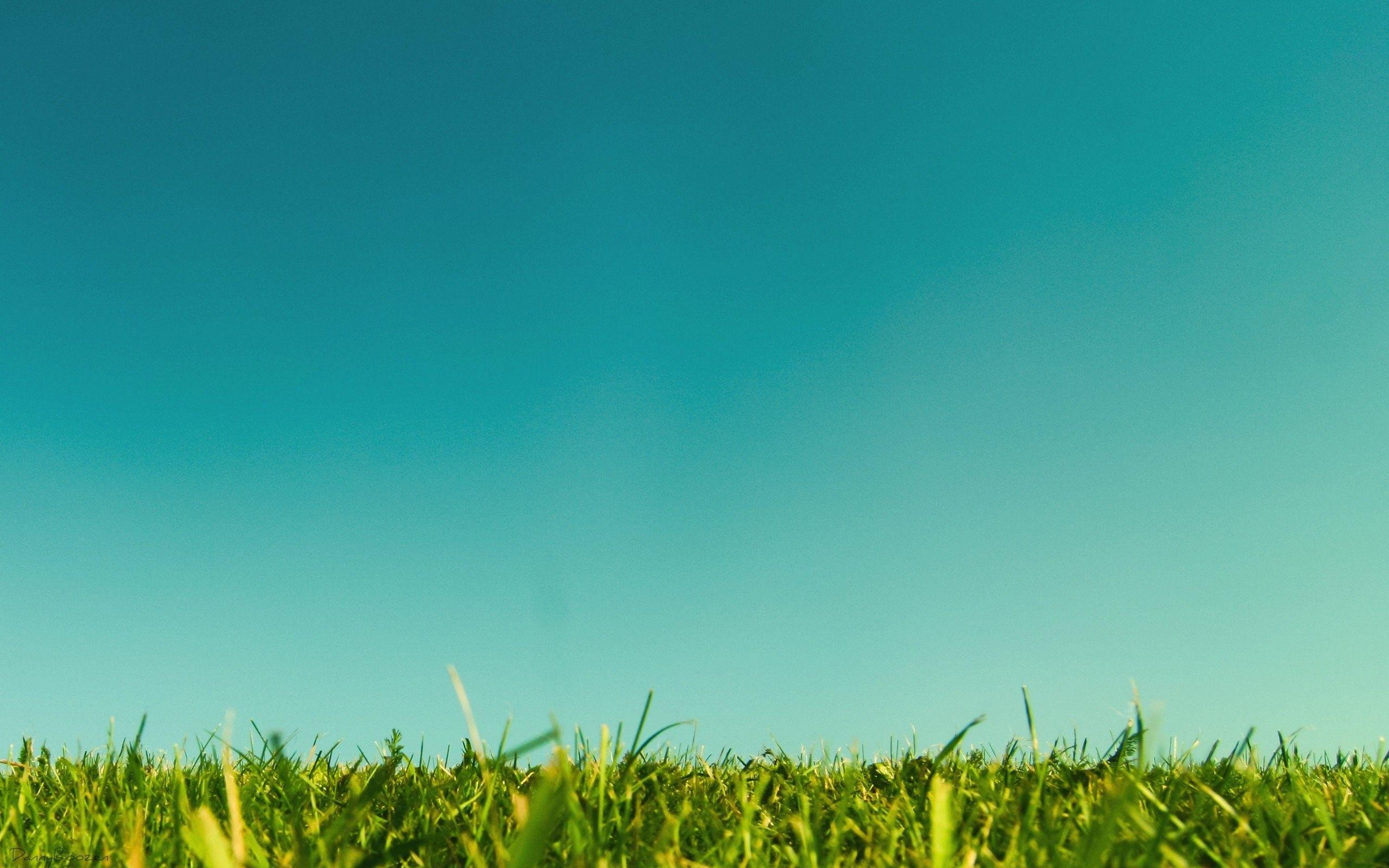 Grassland Wallpapers - Top Free Grassland Backgrounds - WallpaperAccess