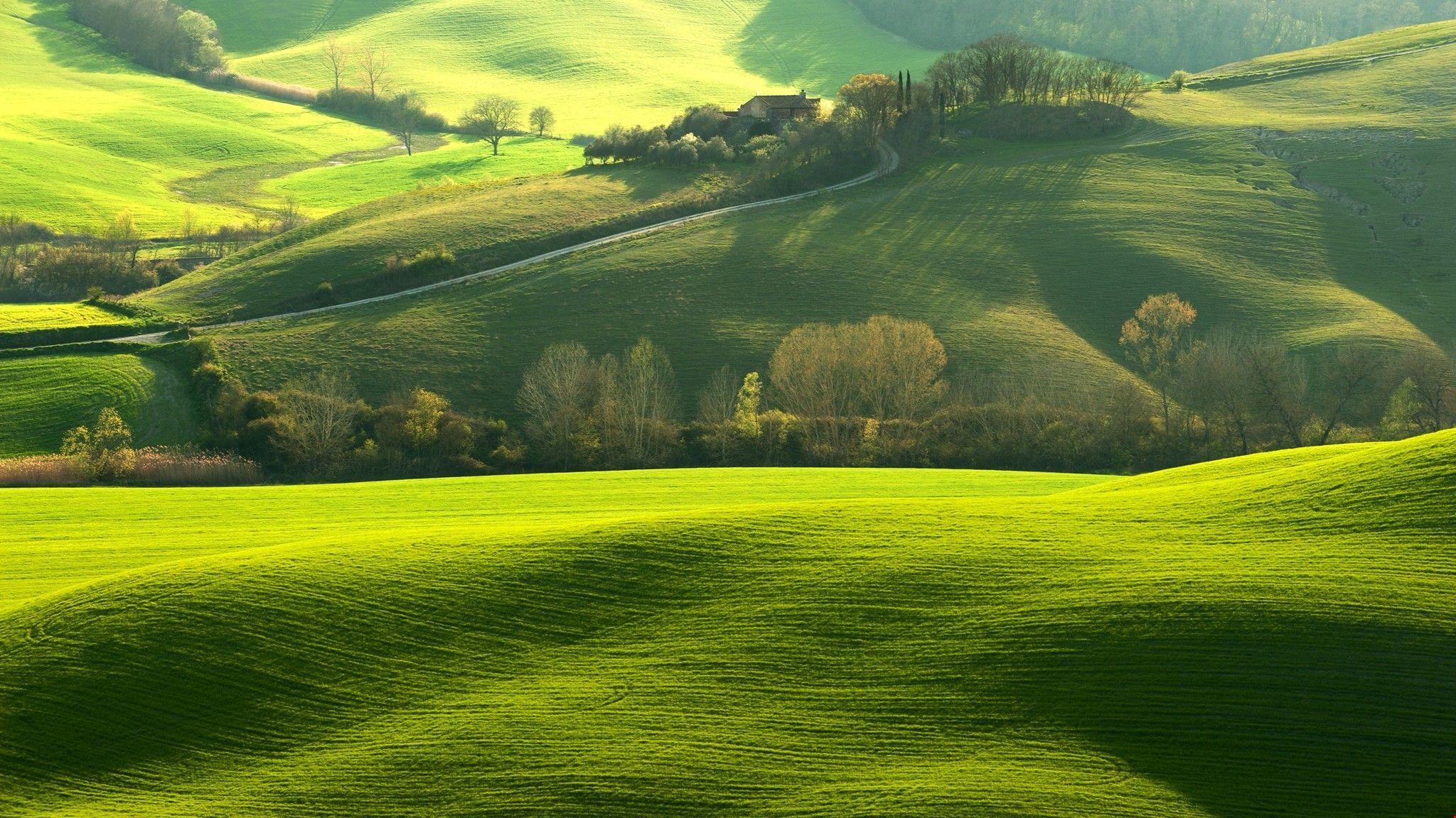 Grassland Wallpapers - Top Free Grassland Backgrounds - WallpaperAccess