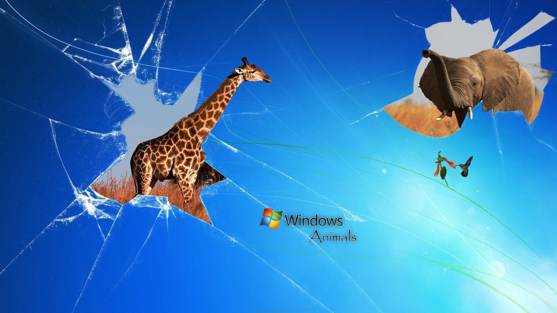 1920x1080 Cracked Background For Computer, HD Wallpaper