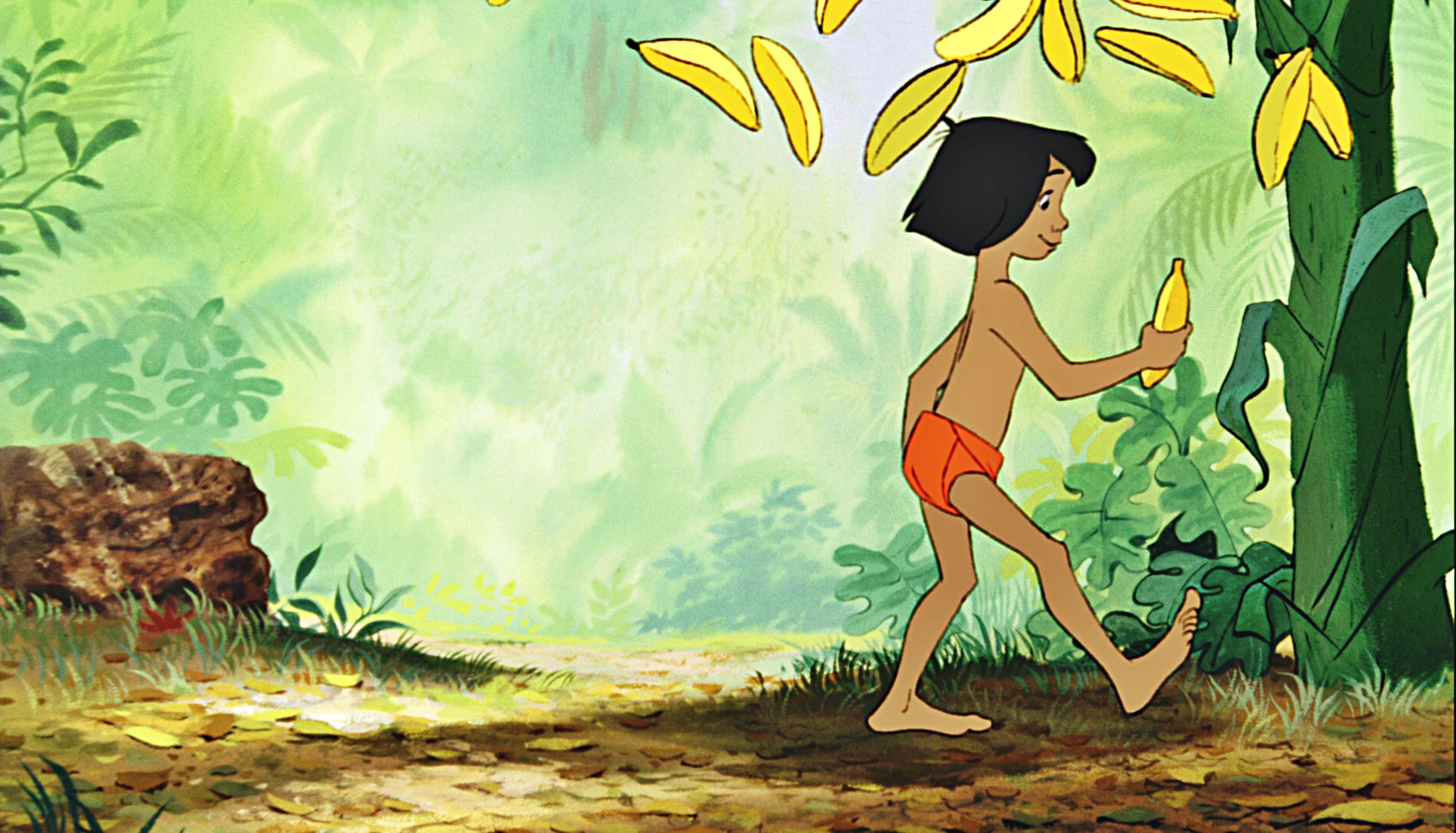 5000x2862 Mowgli. Free Download Photo, J 3511314004