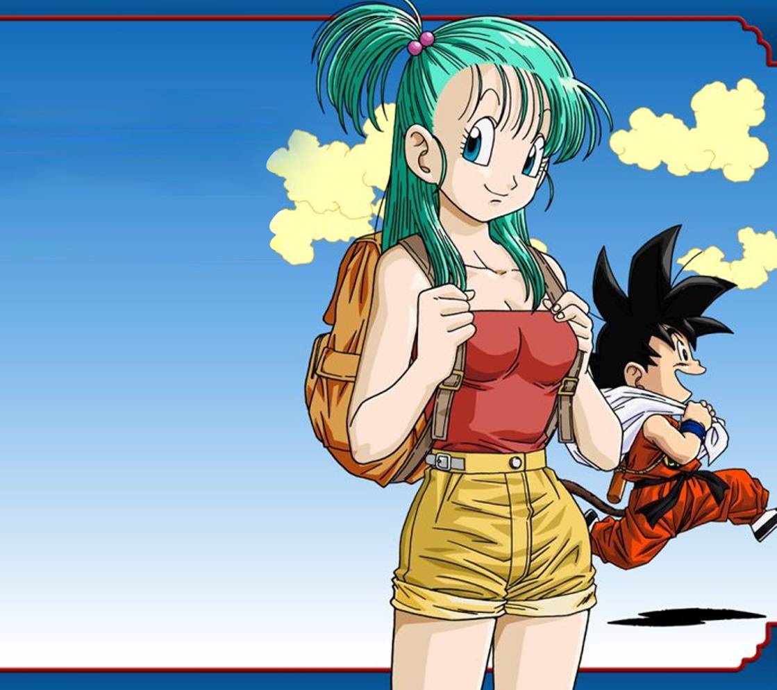 Bulma Wallpapers - Top Free Bulma Backgrounds - WallpaperAccess