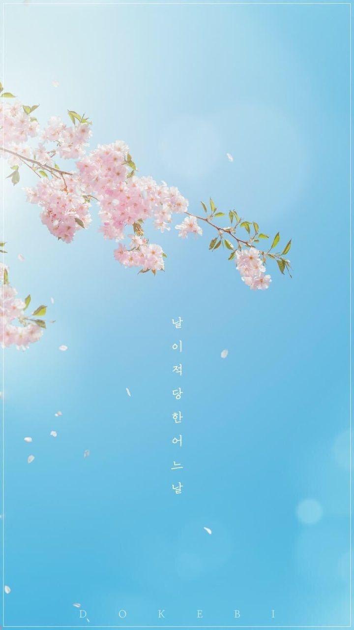 720x1280 image about Kdrama Wallpaper. See more