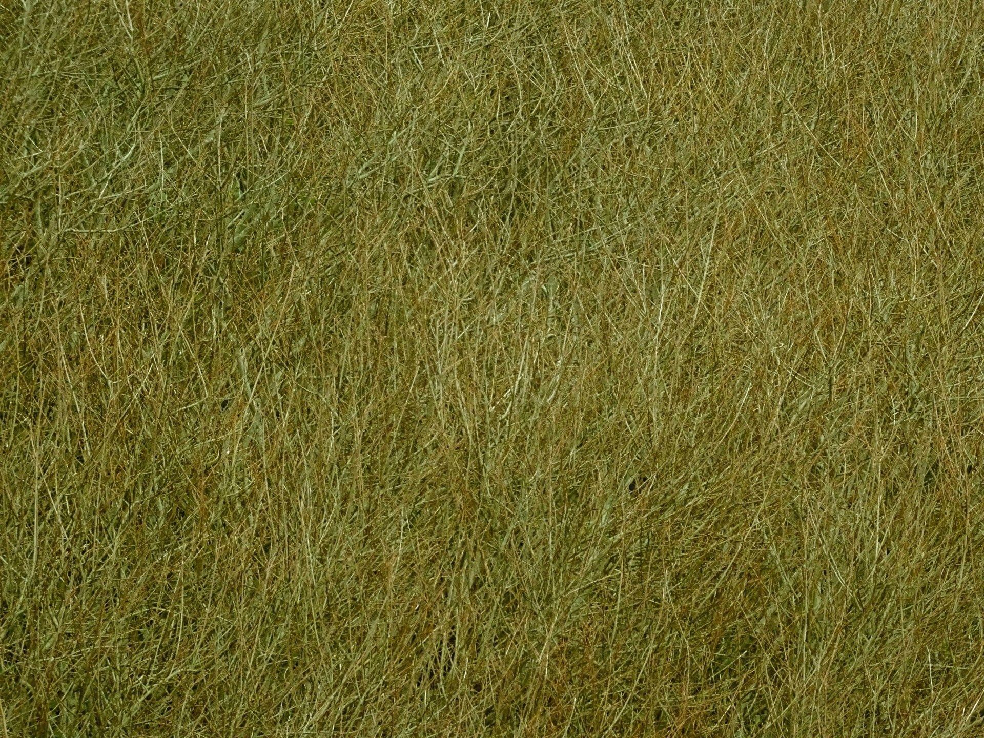 1920x1440 Olive Green Wallpaper