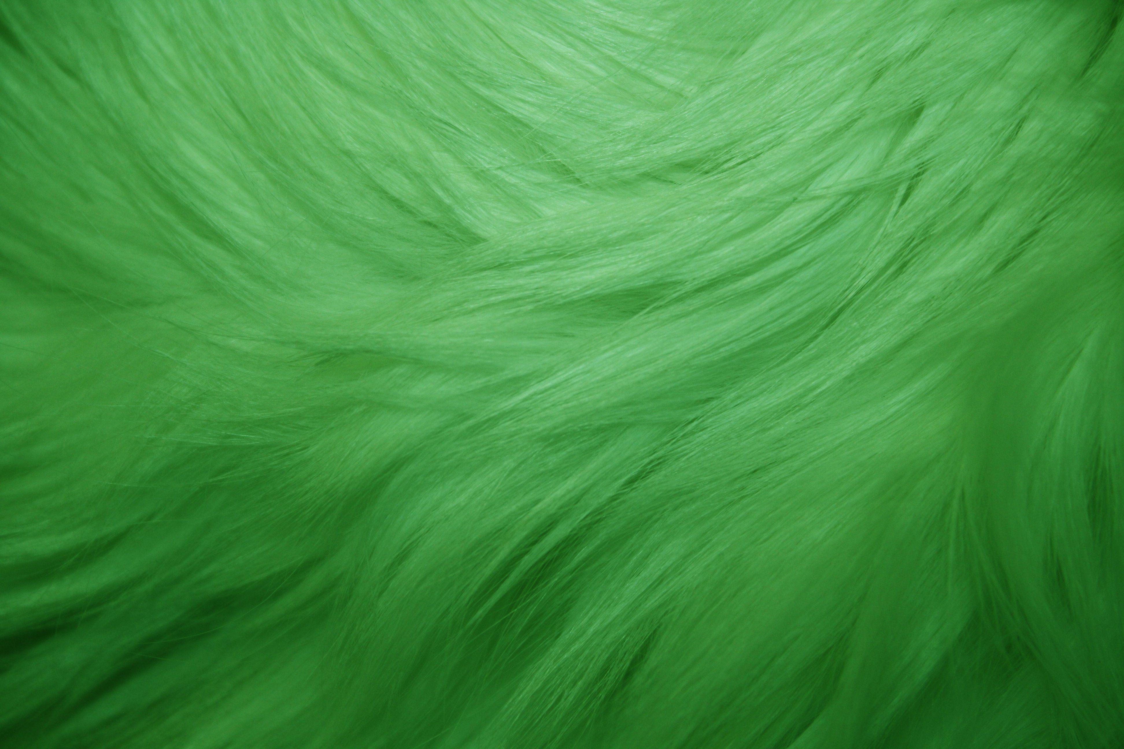3888x2592 Green Fur Texture Picture. Free Photograph. Photo Public