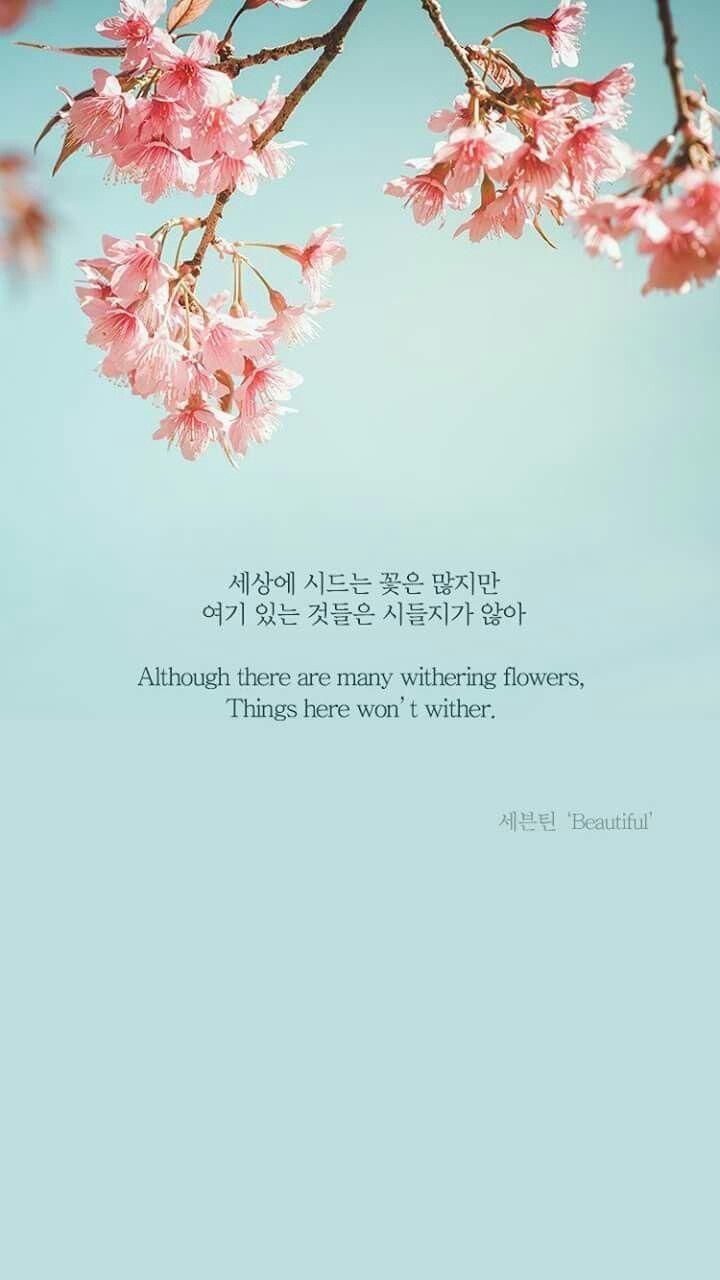 720x1280 Free download Svt Seventeen Lyrics Quotes Kpop 1629979 HD