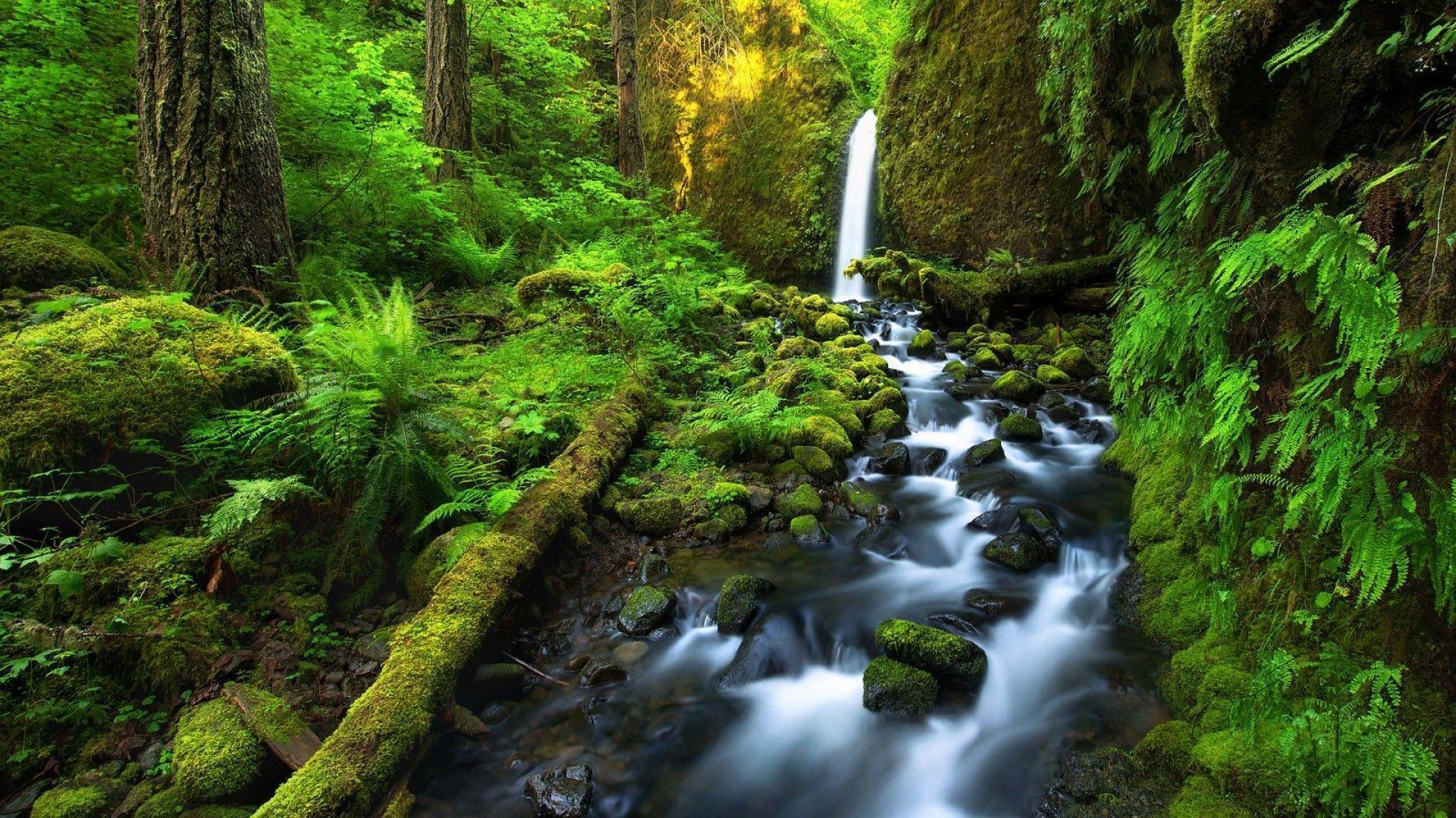 1920x1080 Costa Rica Wallpaper