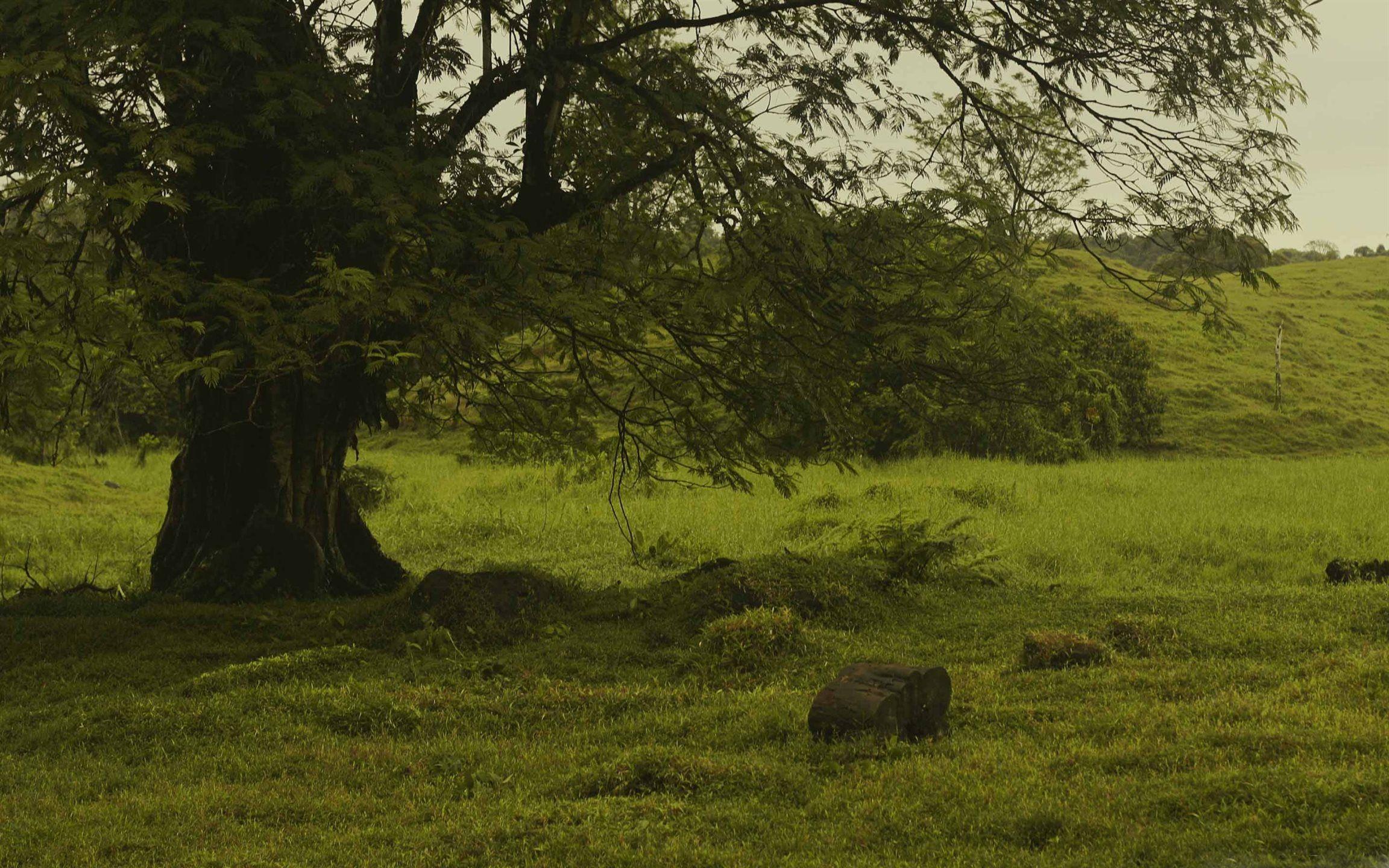 2304x1440 Costa Rica Landscape Mac Wallpaper Download