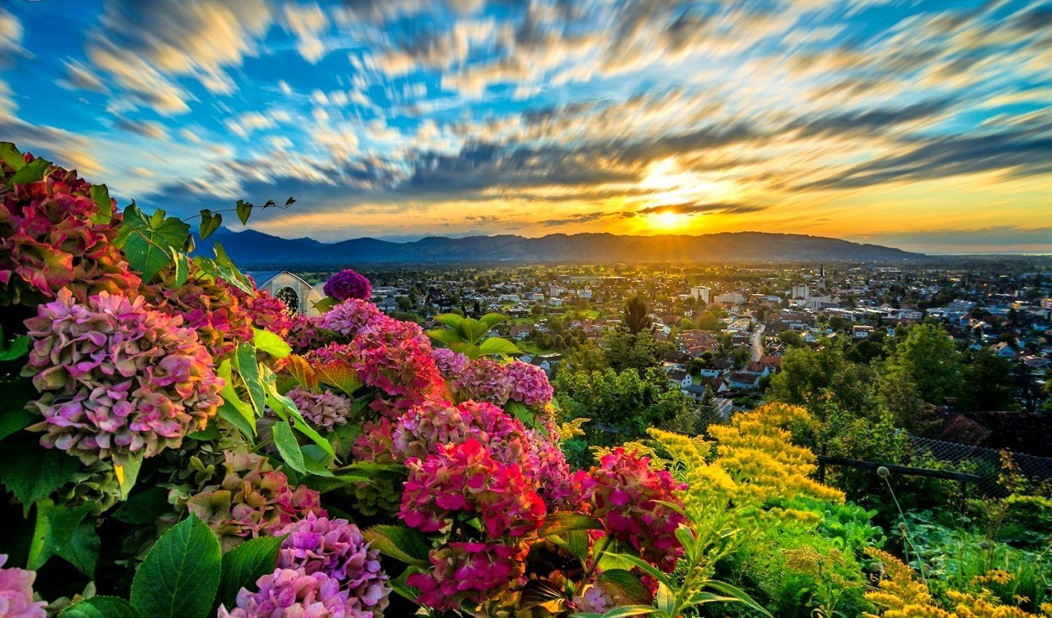 1504x883 Austria HD Wallpaper