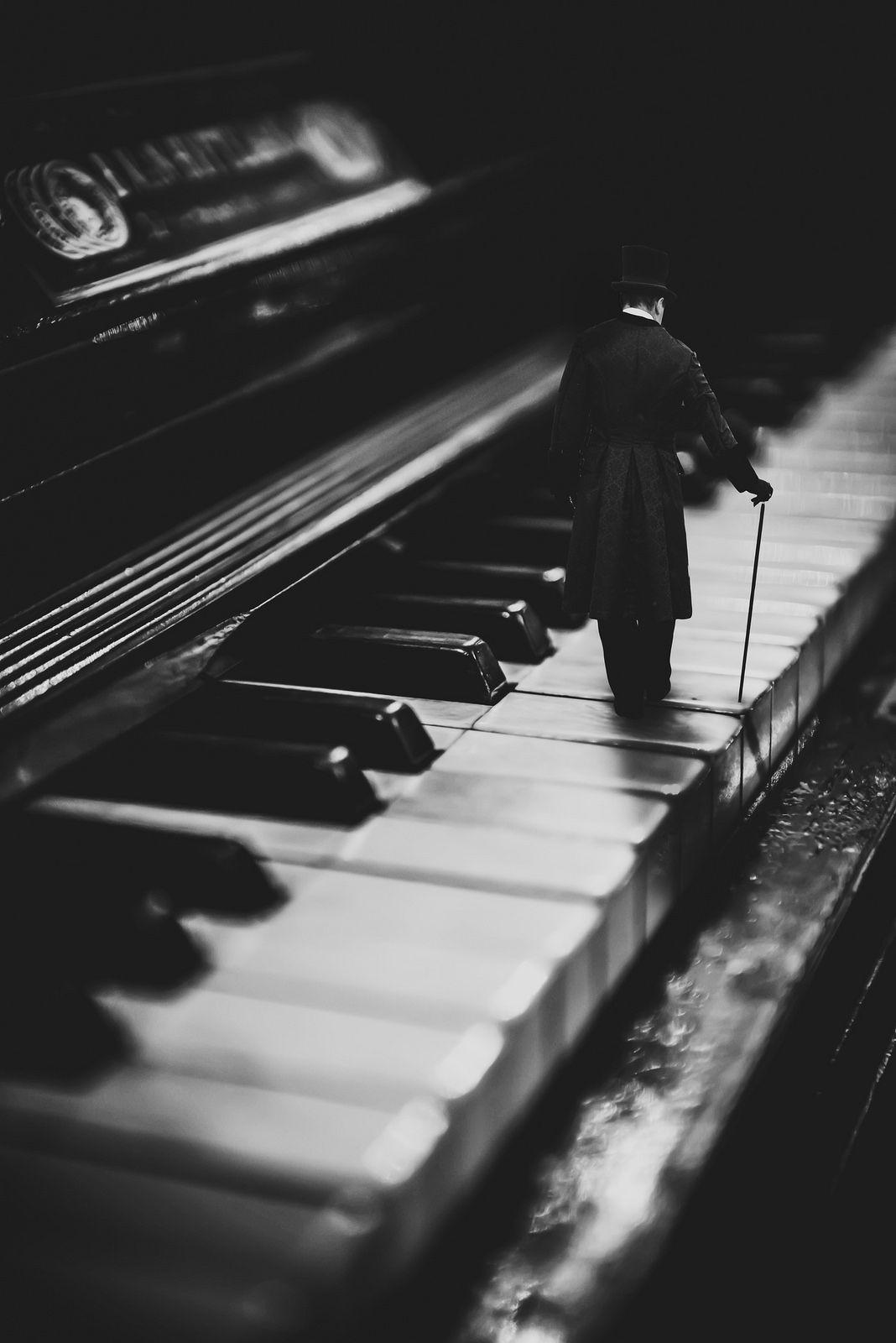 1068x1600 The Pianist. Musician photography, Pianist, Music image