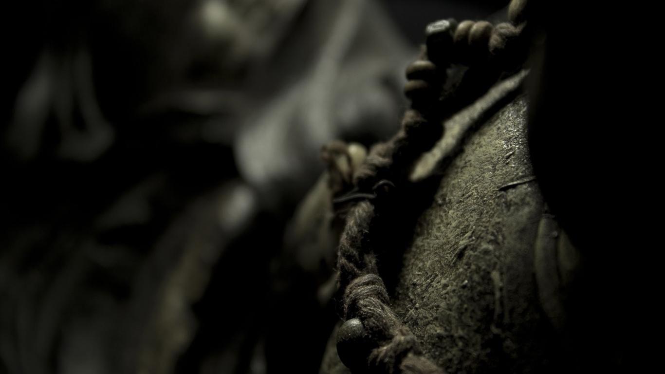 1366x768 Shaolin Wallpaper