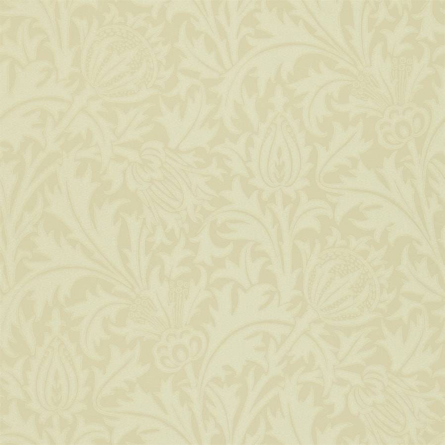 Ivory Wallpapers - Top Free Ivory Backgrounds - WallpaperAccess