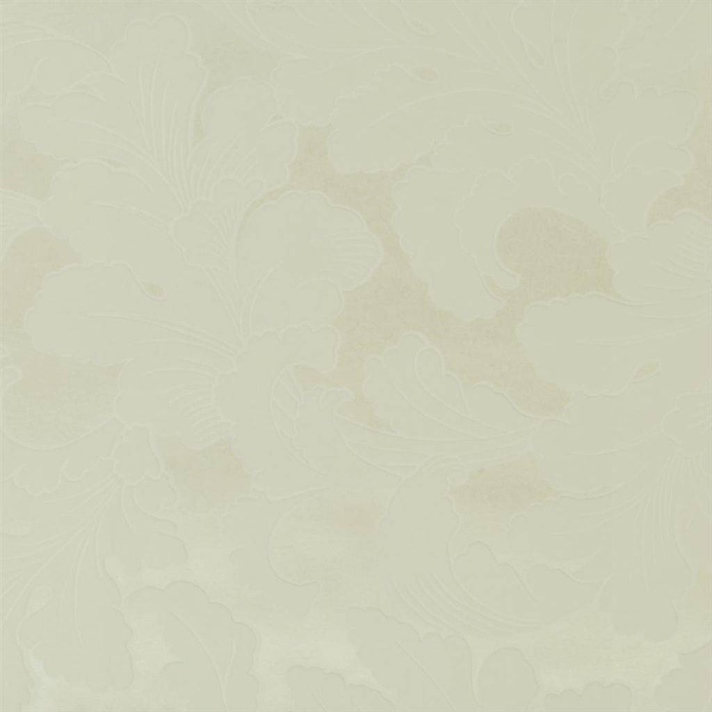 Ivory Wallpapers - Top Free Ivory Backgrounds - WallpaperAccess