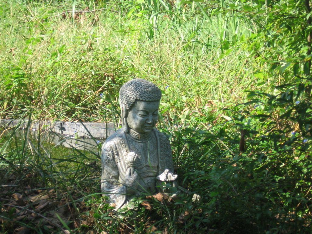 1024x768 Zen Garden Buddha Wallpaper